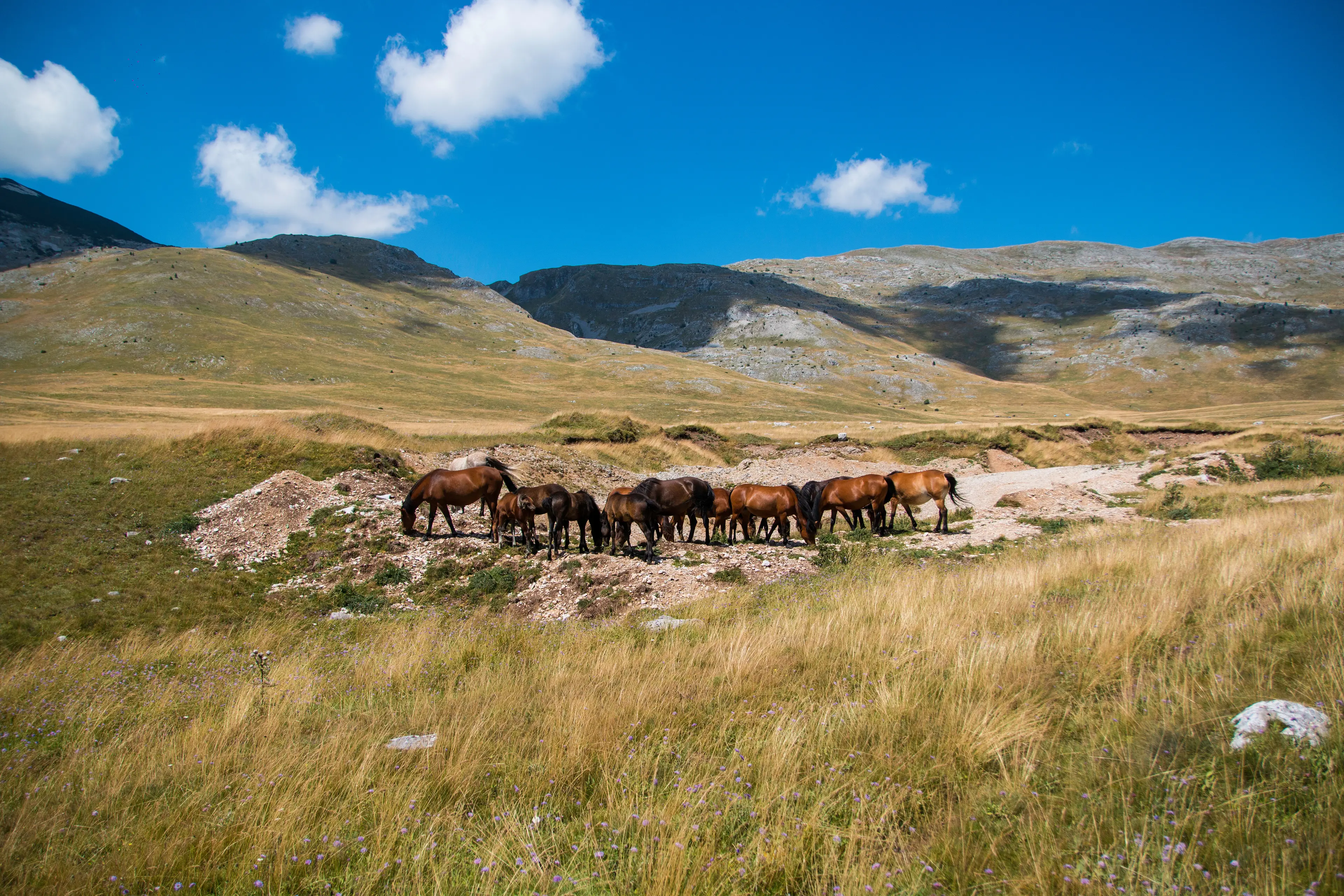 Bjelašnica Mountain