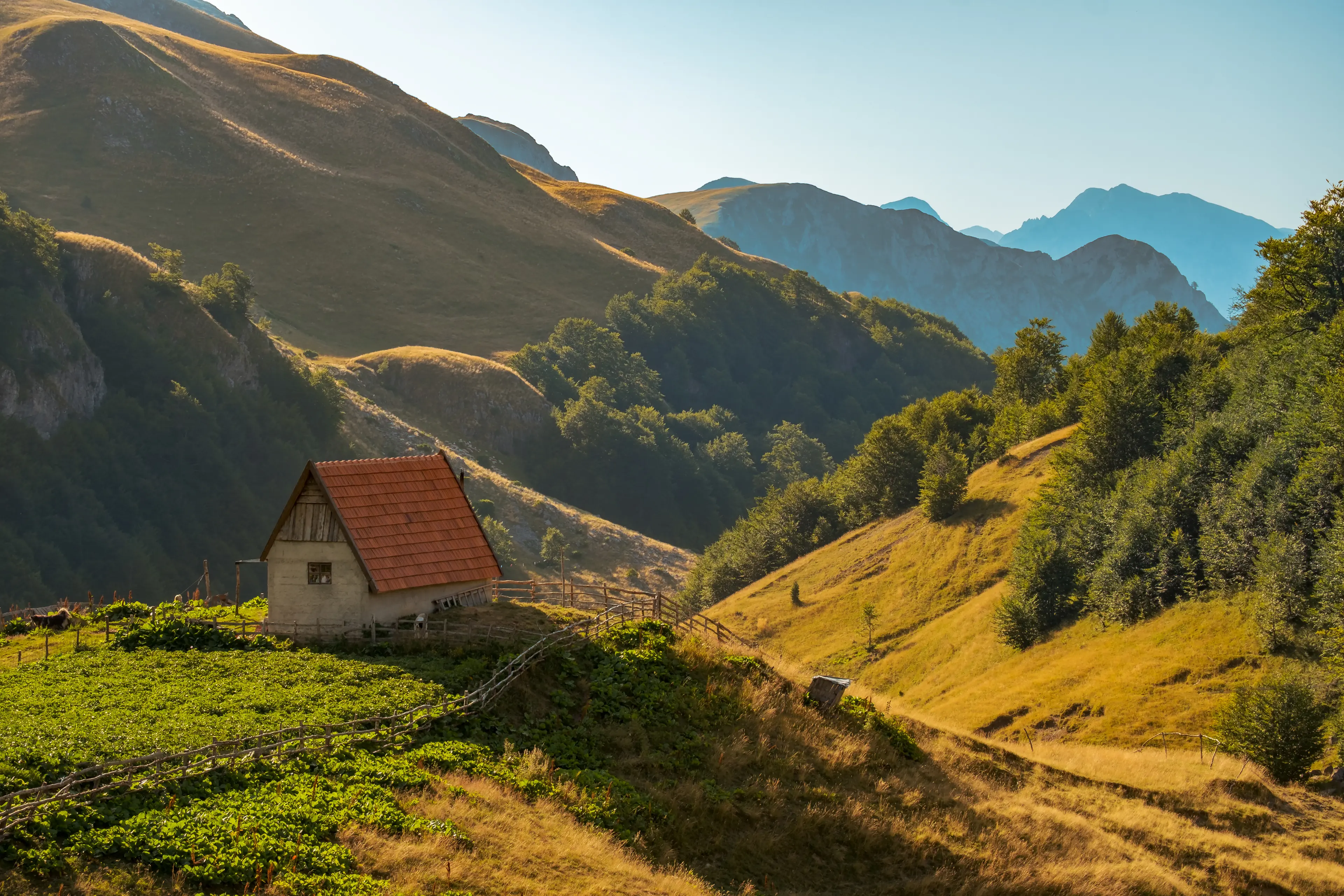 Sutjeska National Park