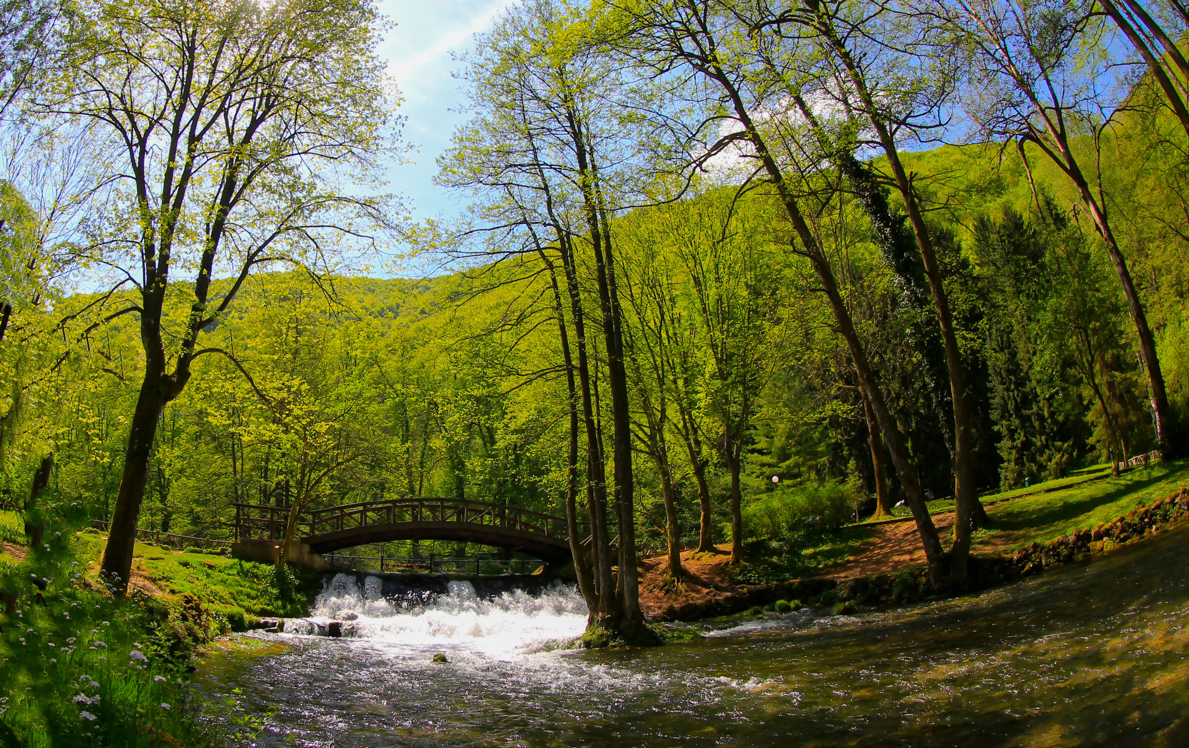 Vrelo Bosne