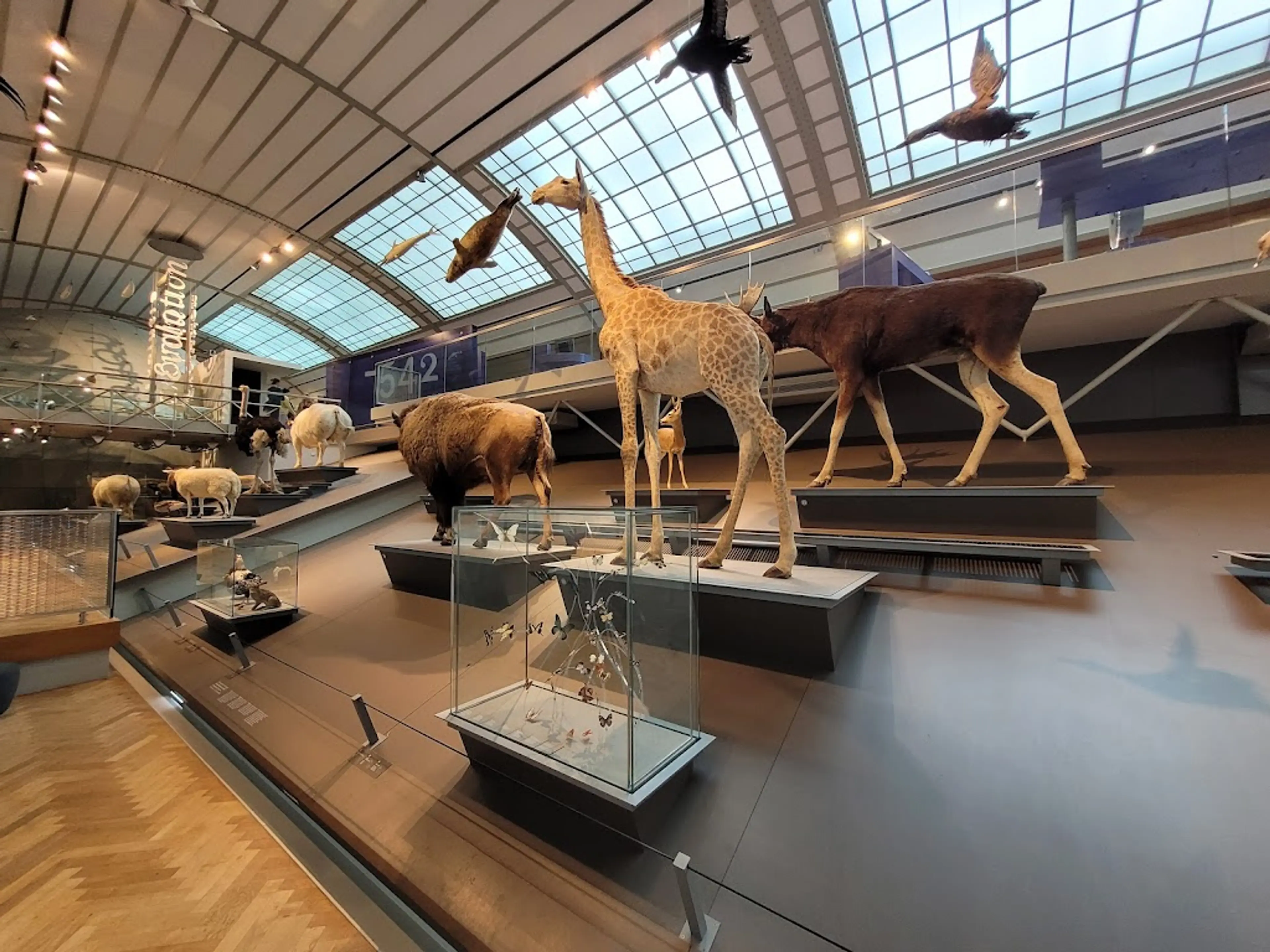Natural Sciences Museum