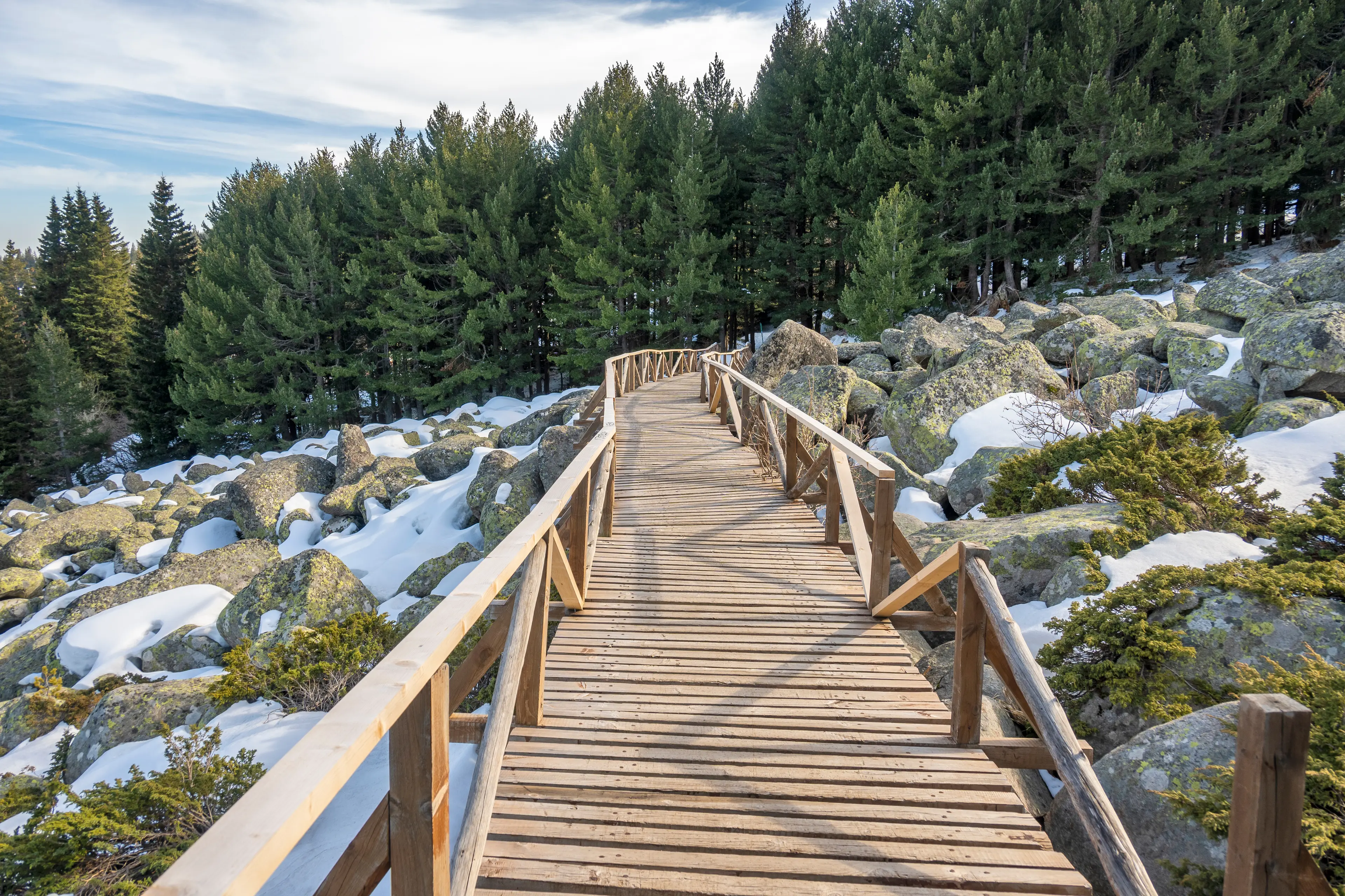 Vitosha Nature Park