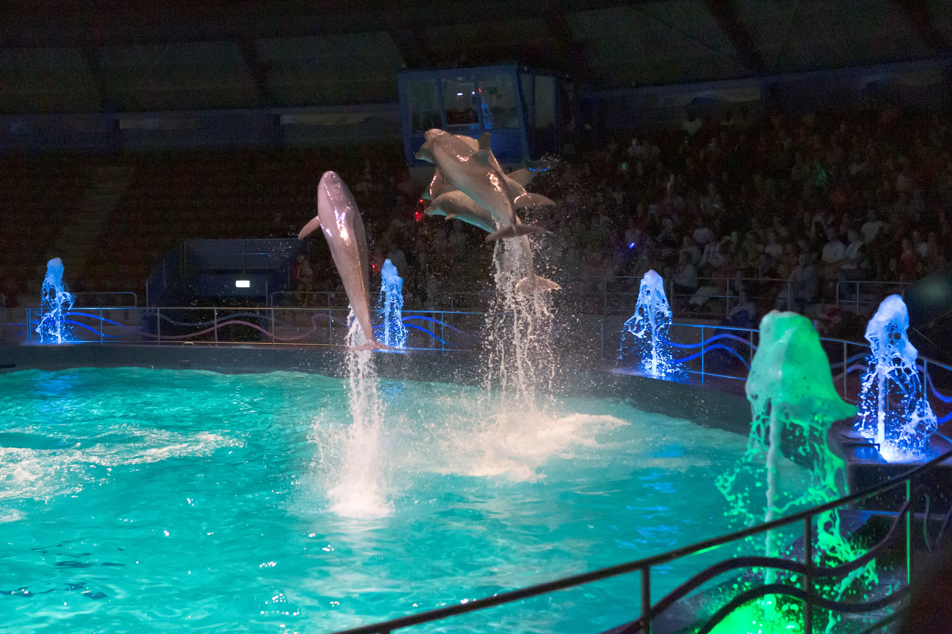 Varna Zoo and Dolphinarium