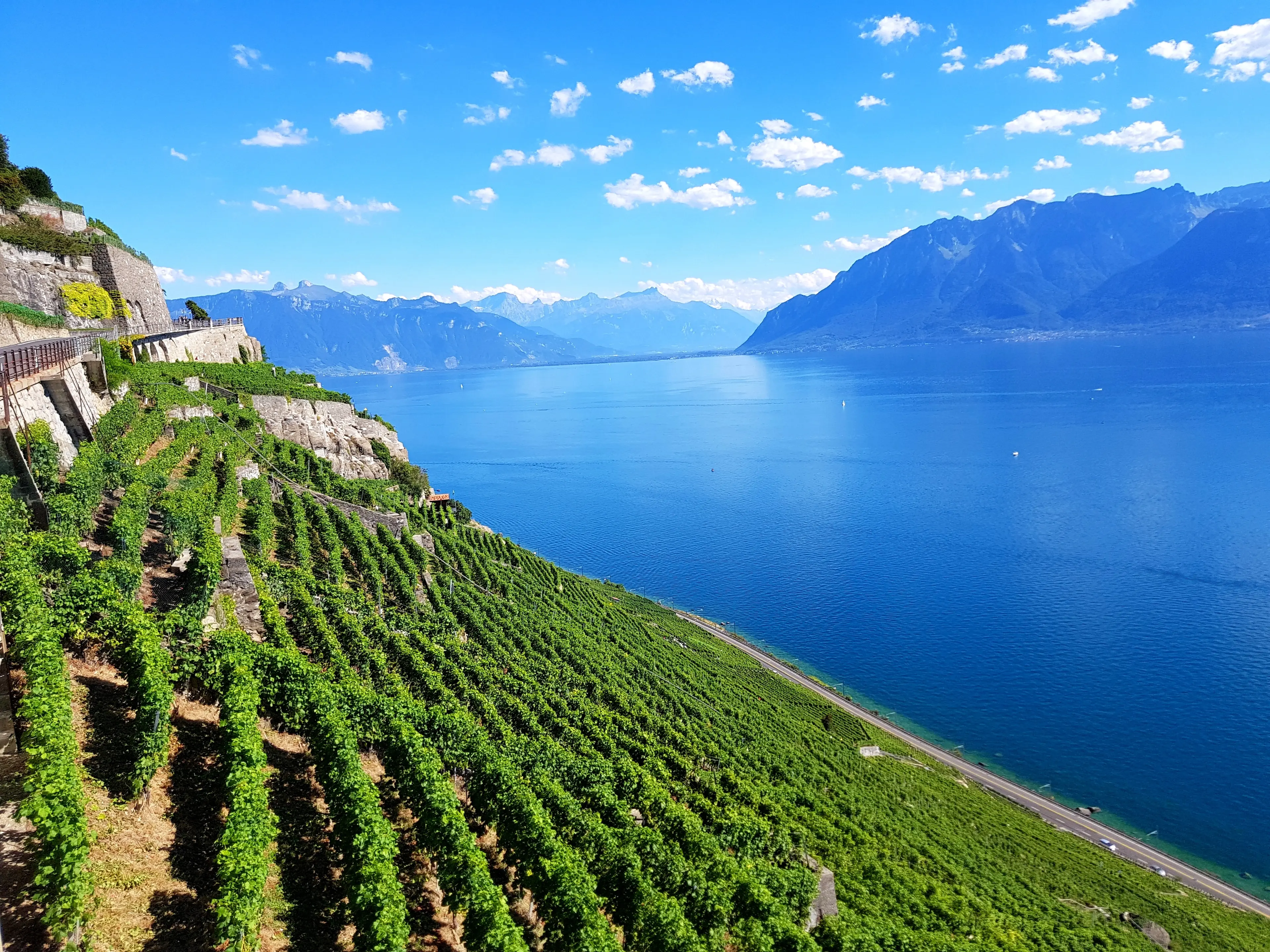 Lavaux Vineyard Terraces