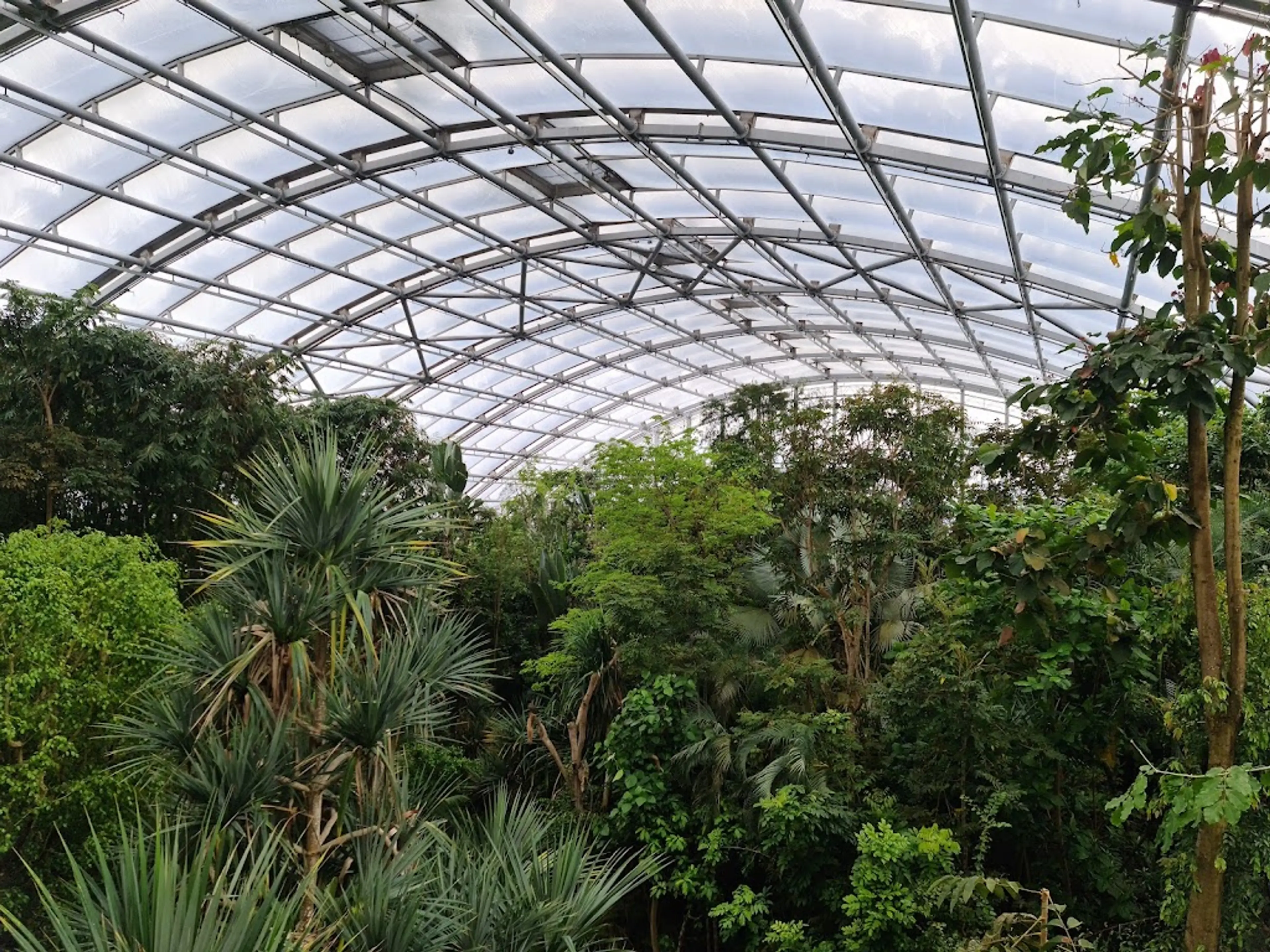 Masoala Rainforest Hall