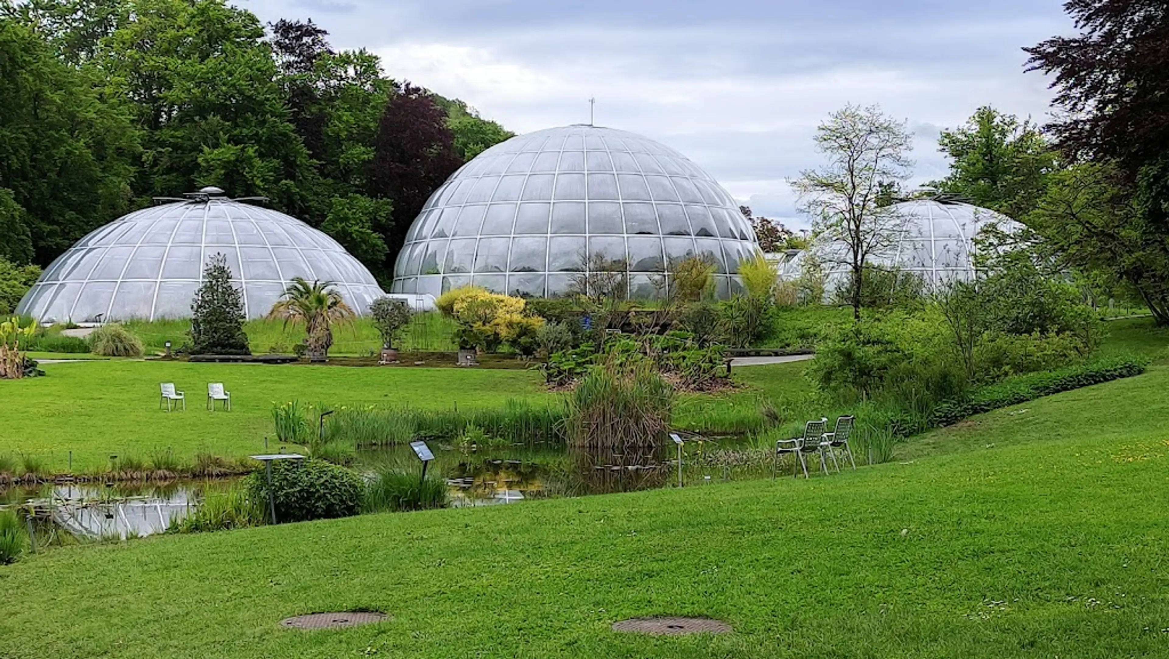 Zurich Botanical Garden