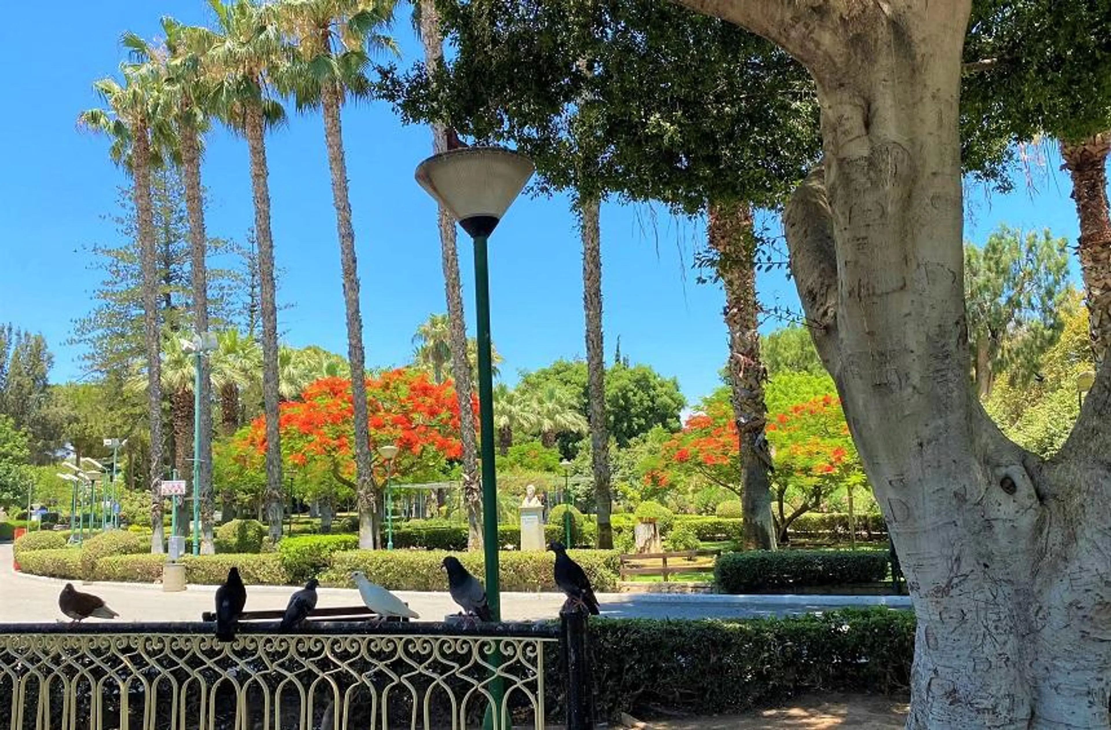 Limassol Municipal Gardens