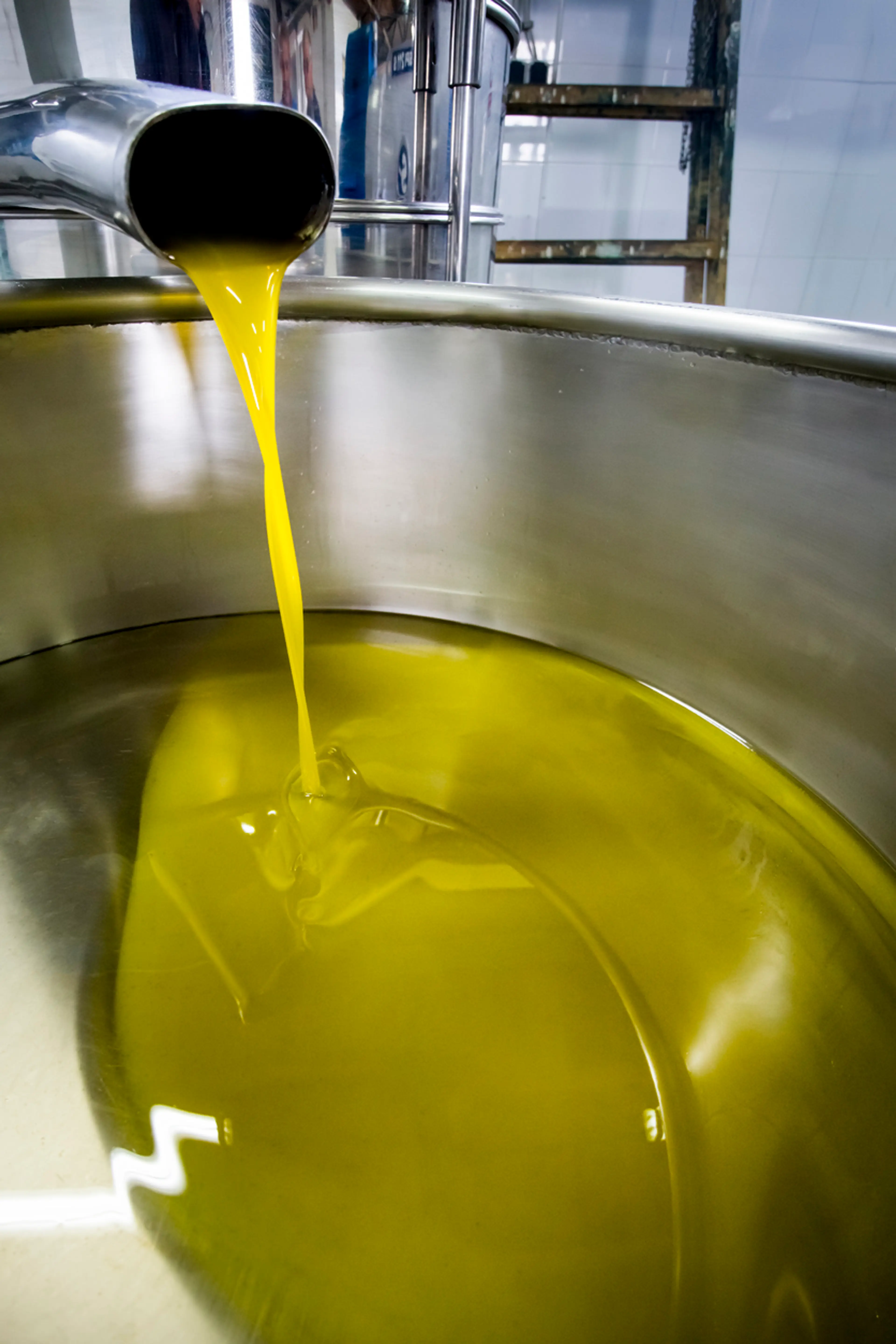 Olive Oil Mill
