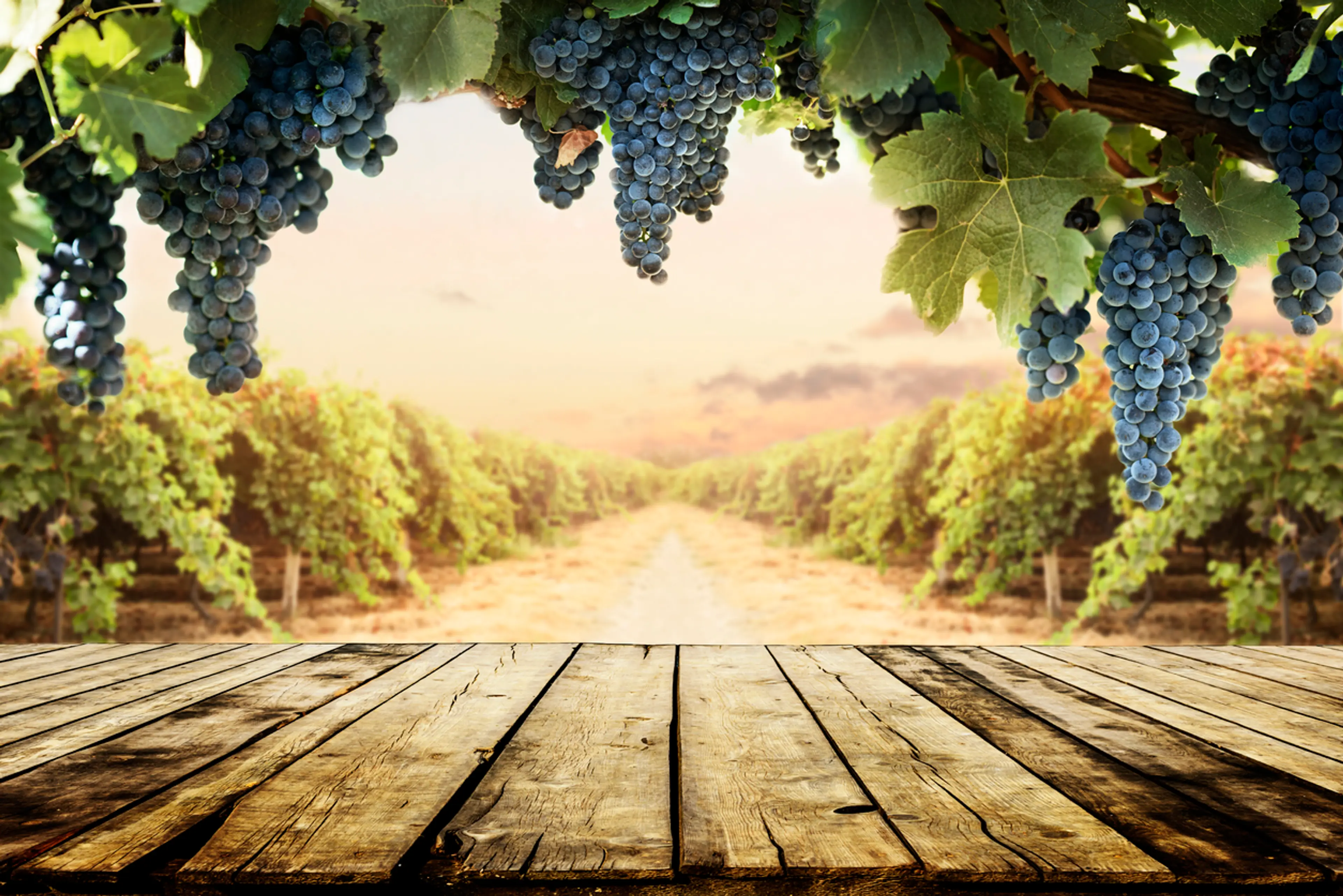 Omodos wineries