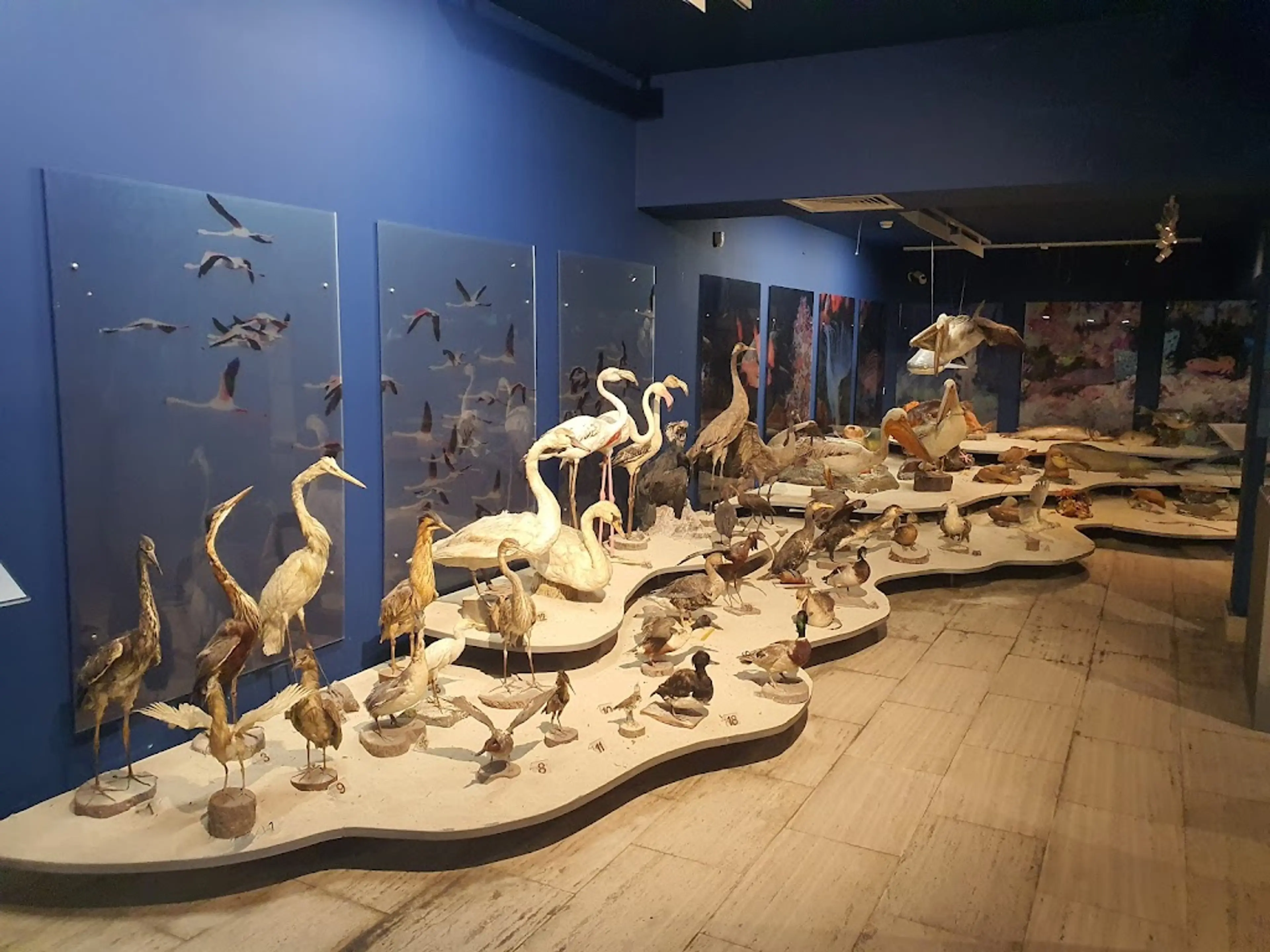 Thalassa Museum