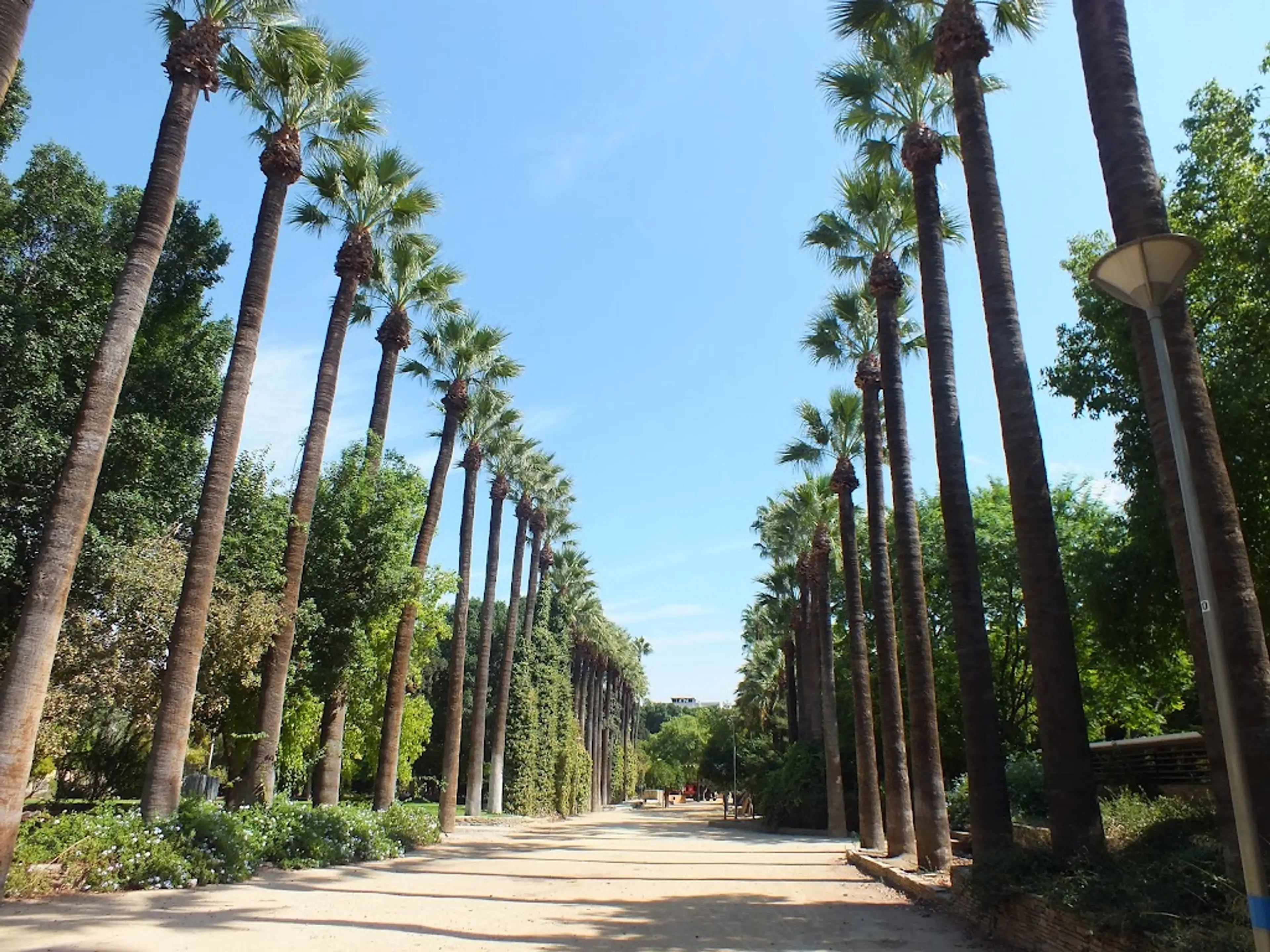 Municipal Gardens