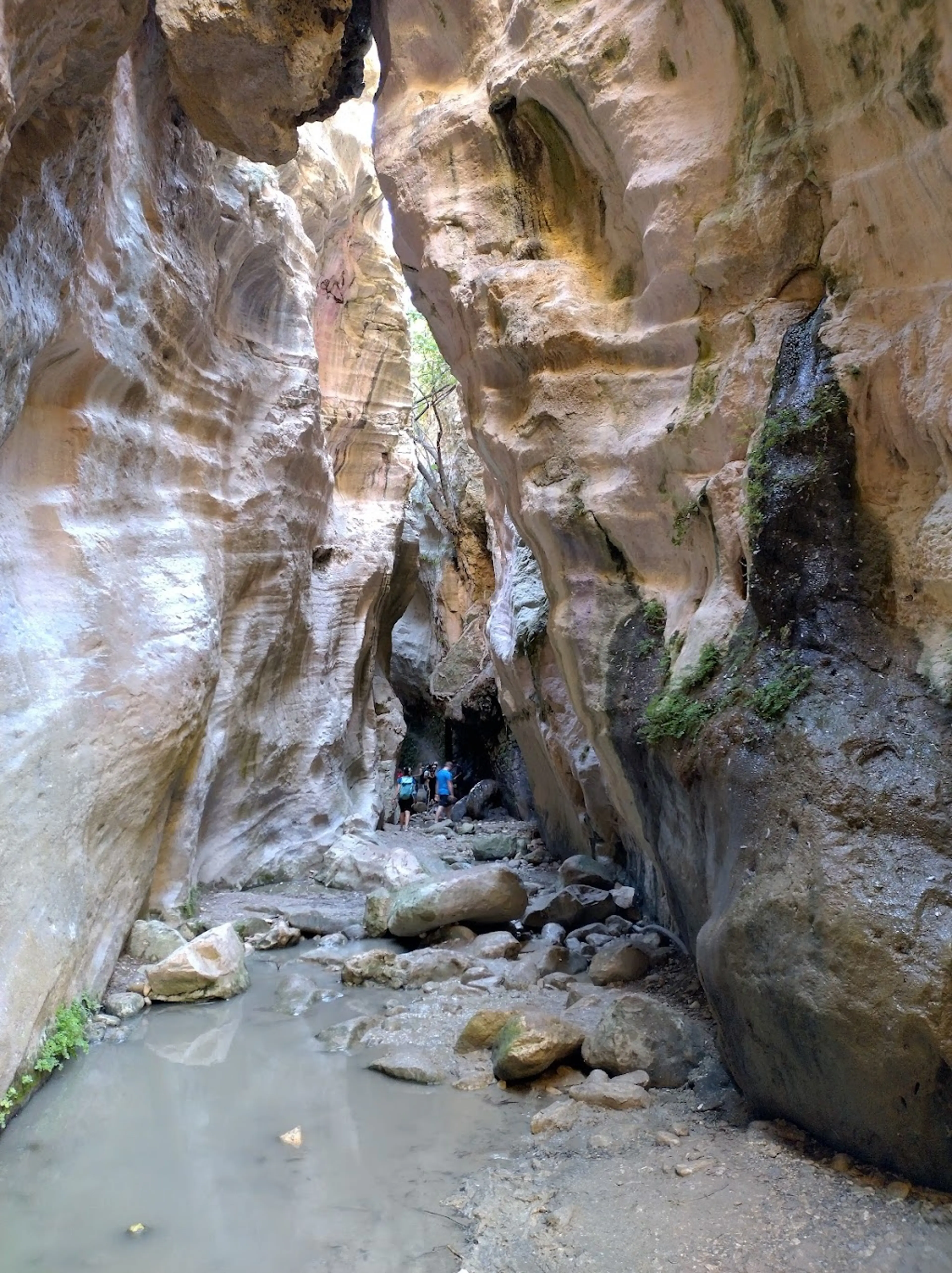 Avakas Gorge