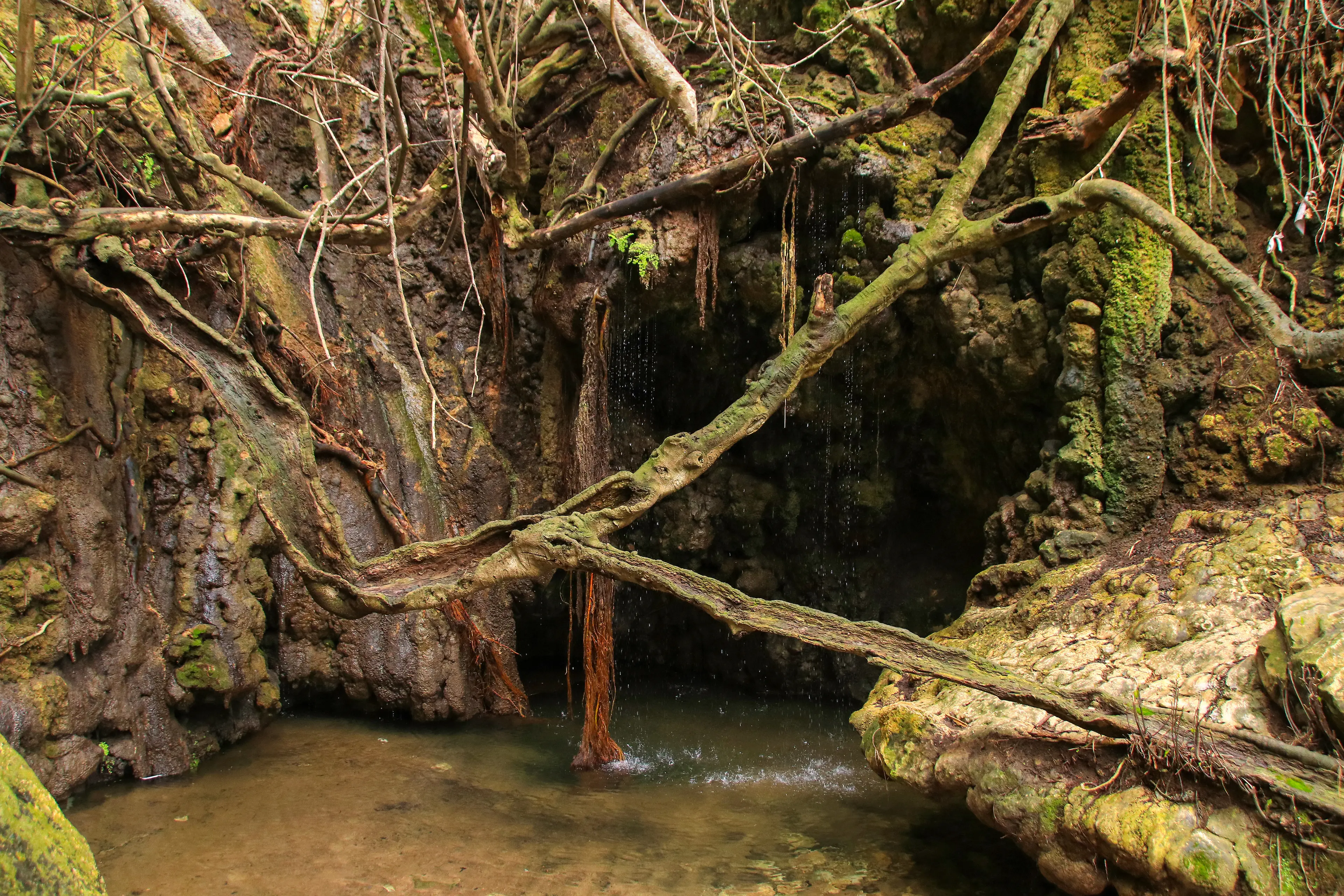 Baths of Aphrodite