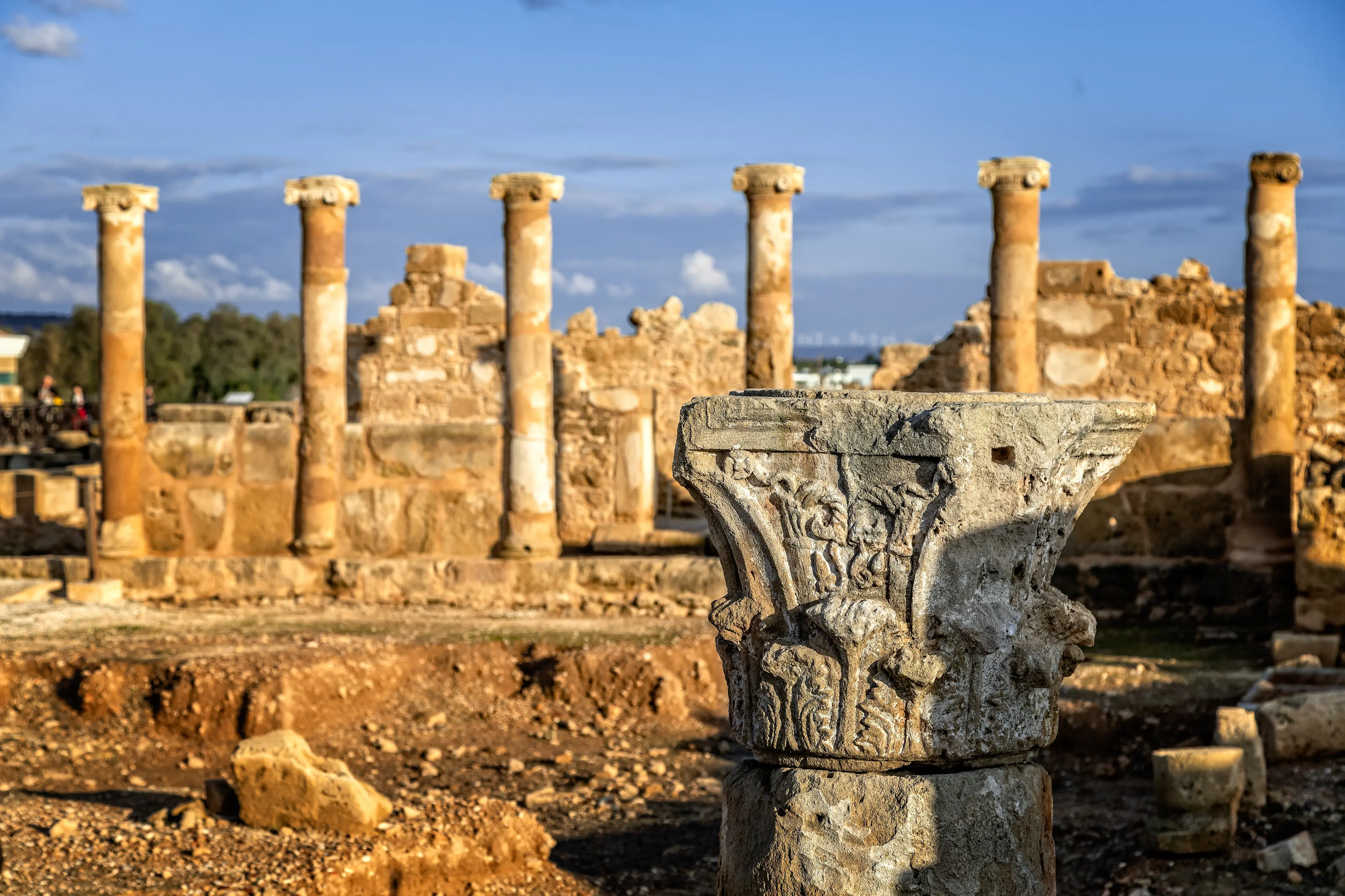 Paphos Archaeological Park