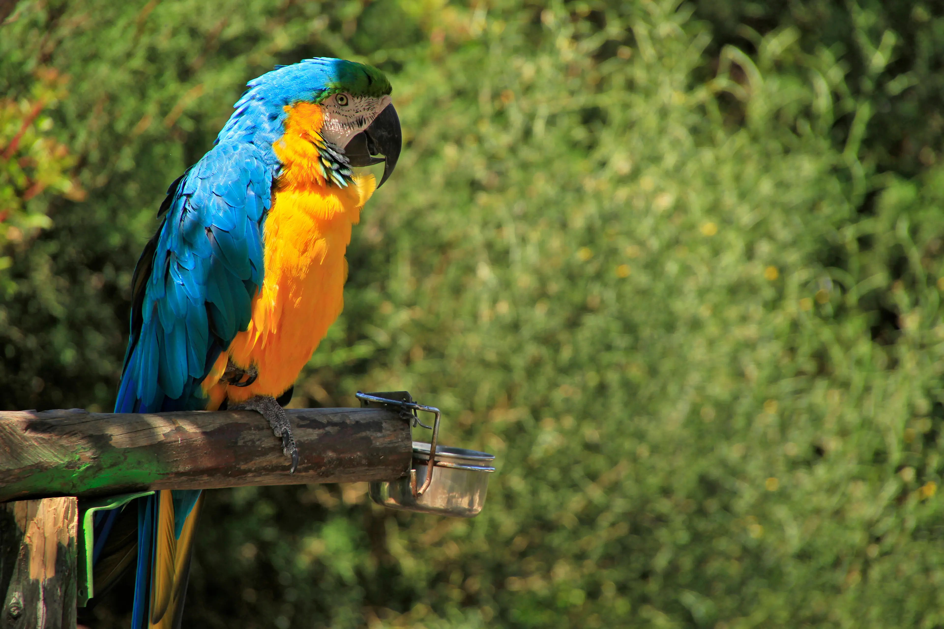 Paphos Zoo