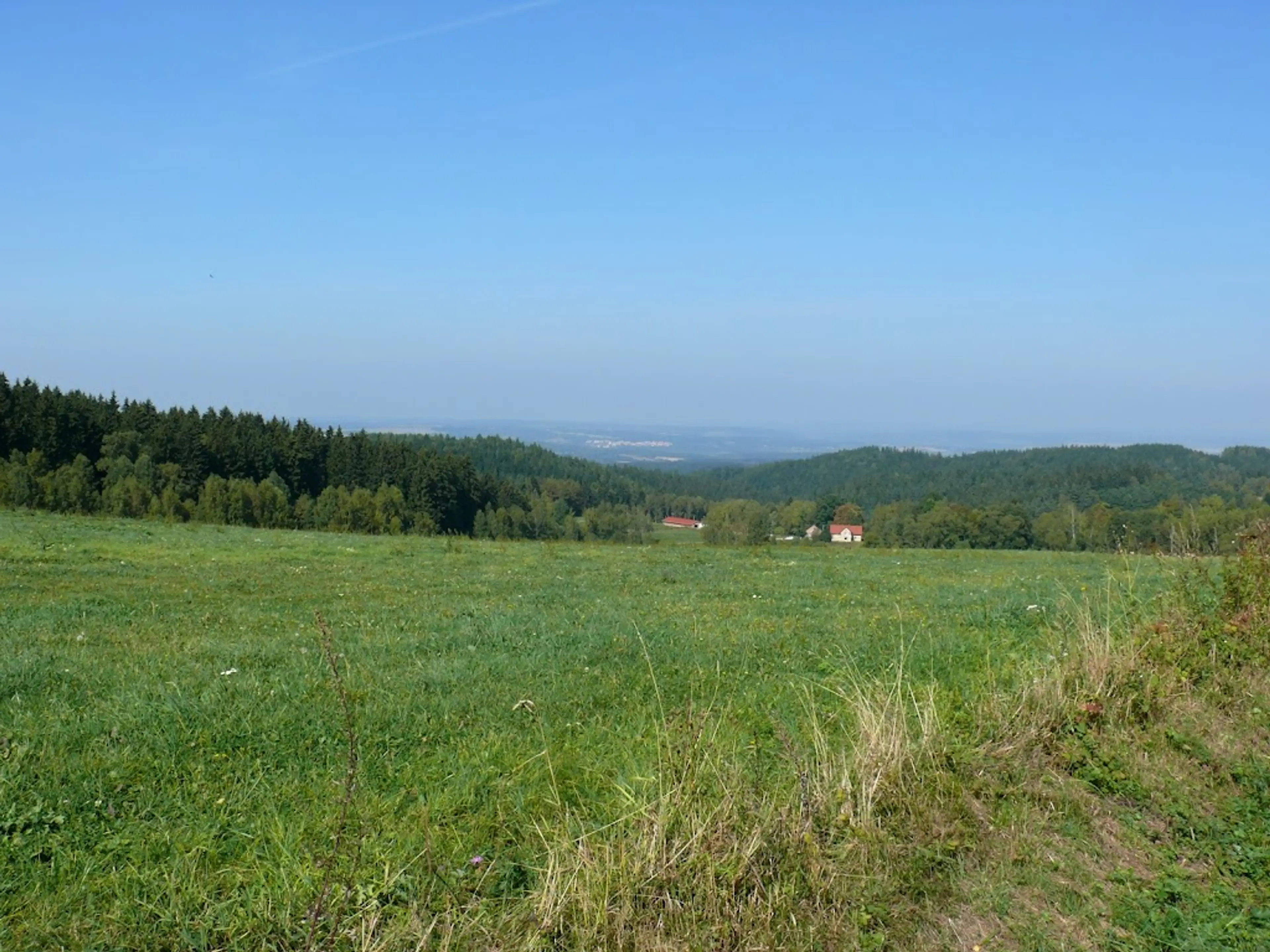 Slavkov Forest