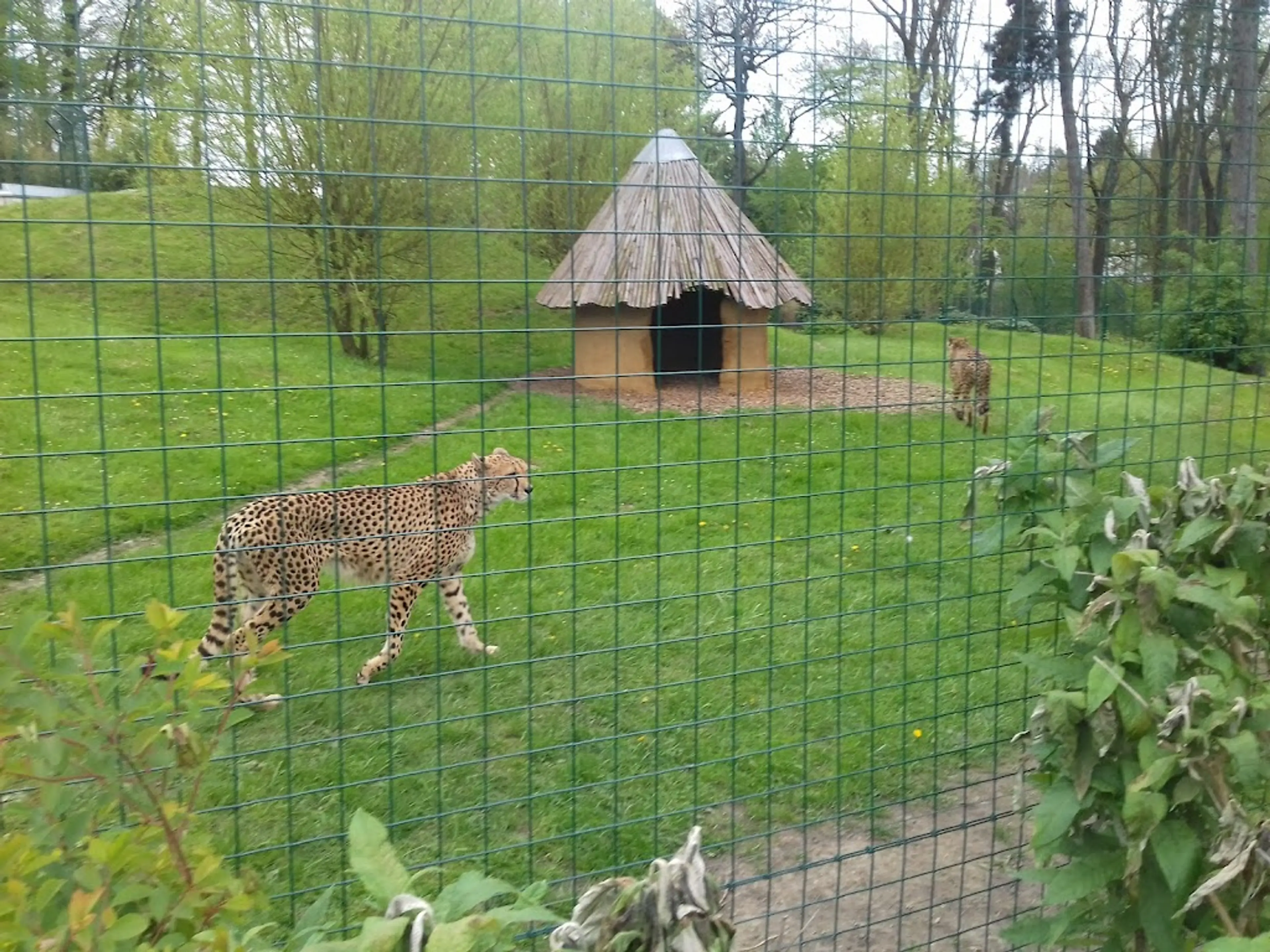 Aachen Zoo