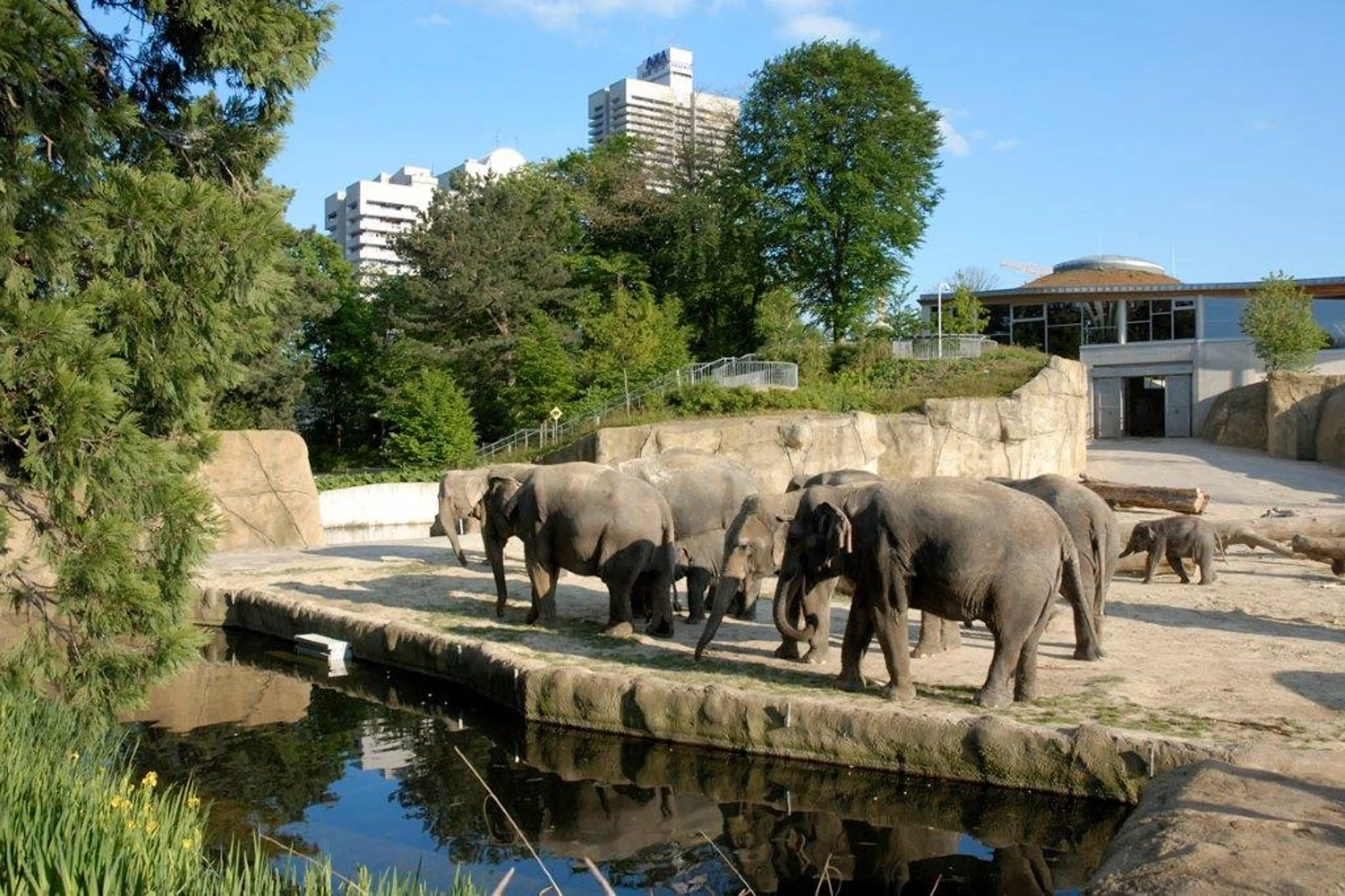 Cologne Zoo