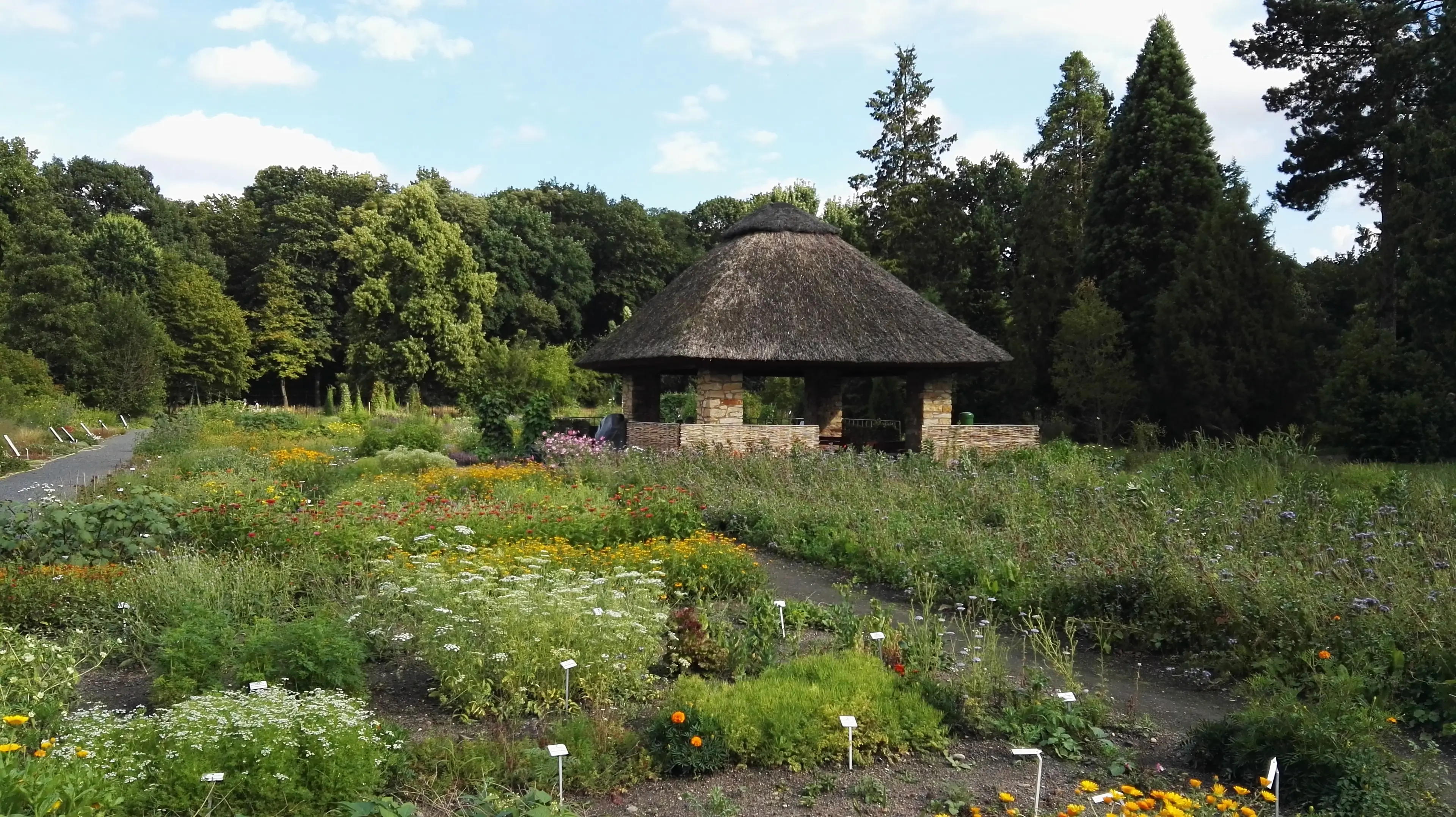 Dresden Botanical Garden