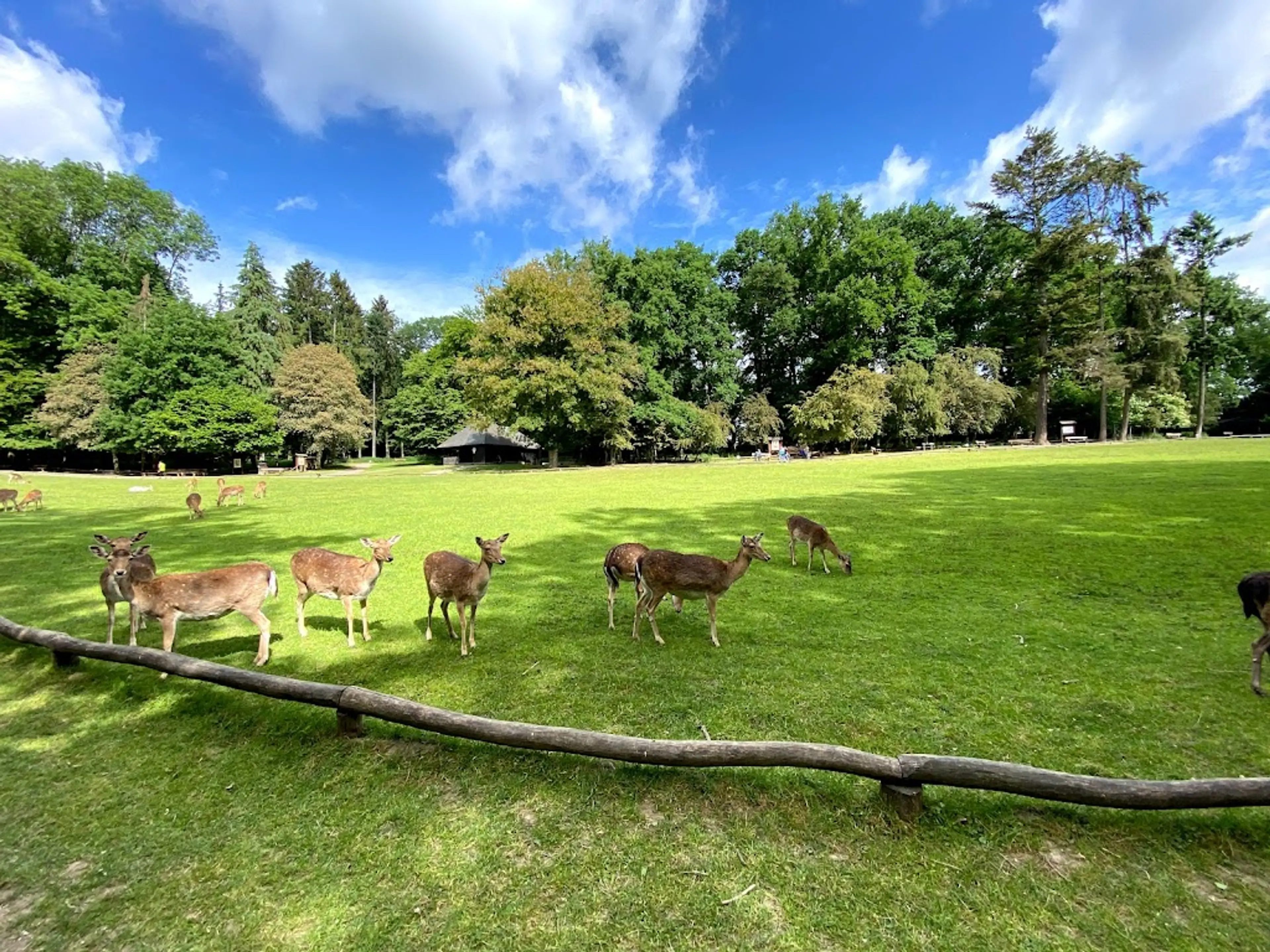 Ice Age Wild Animal Park