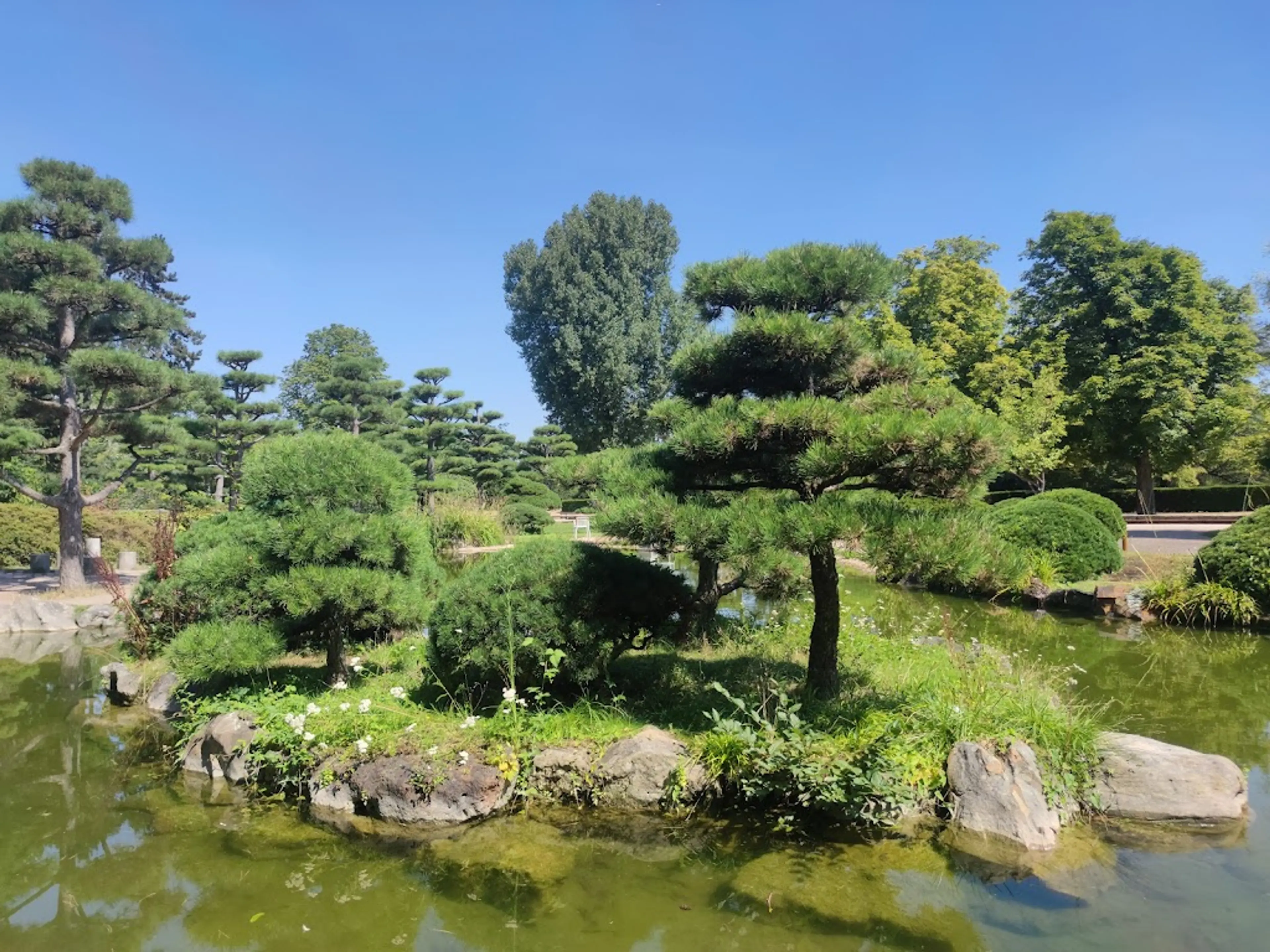 Japanese Garden in Nord Park