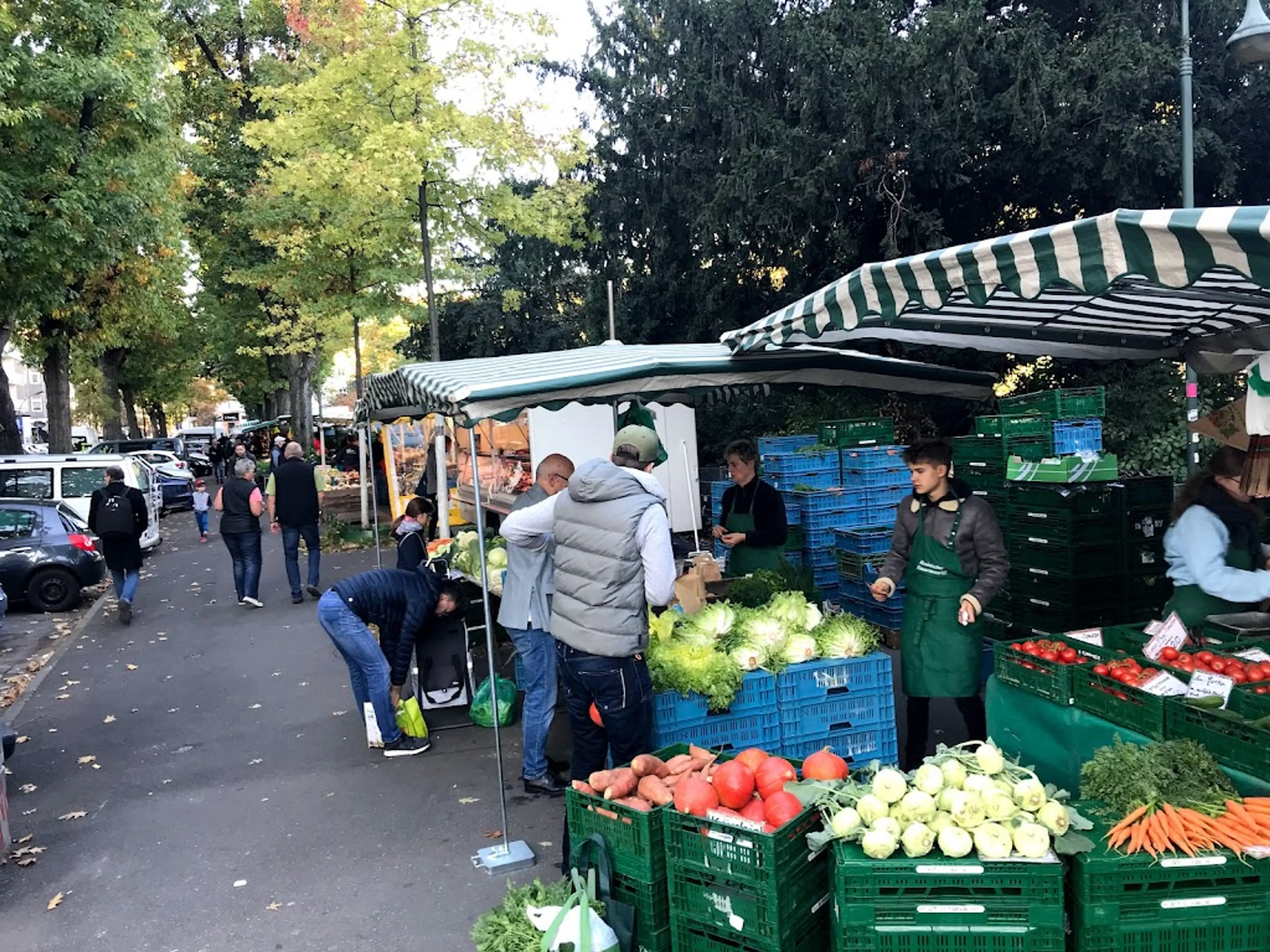 Local farmers' market