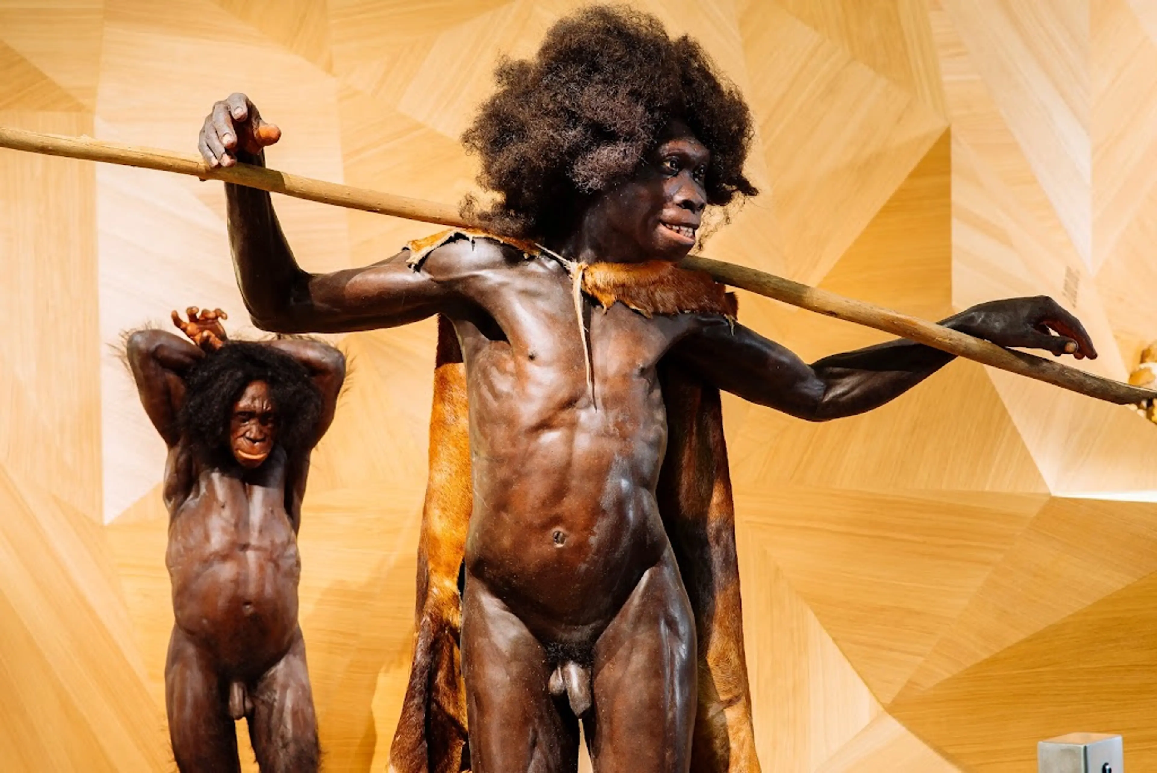 Neanderthal Museum