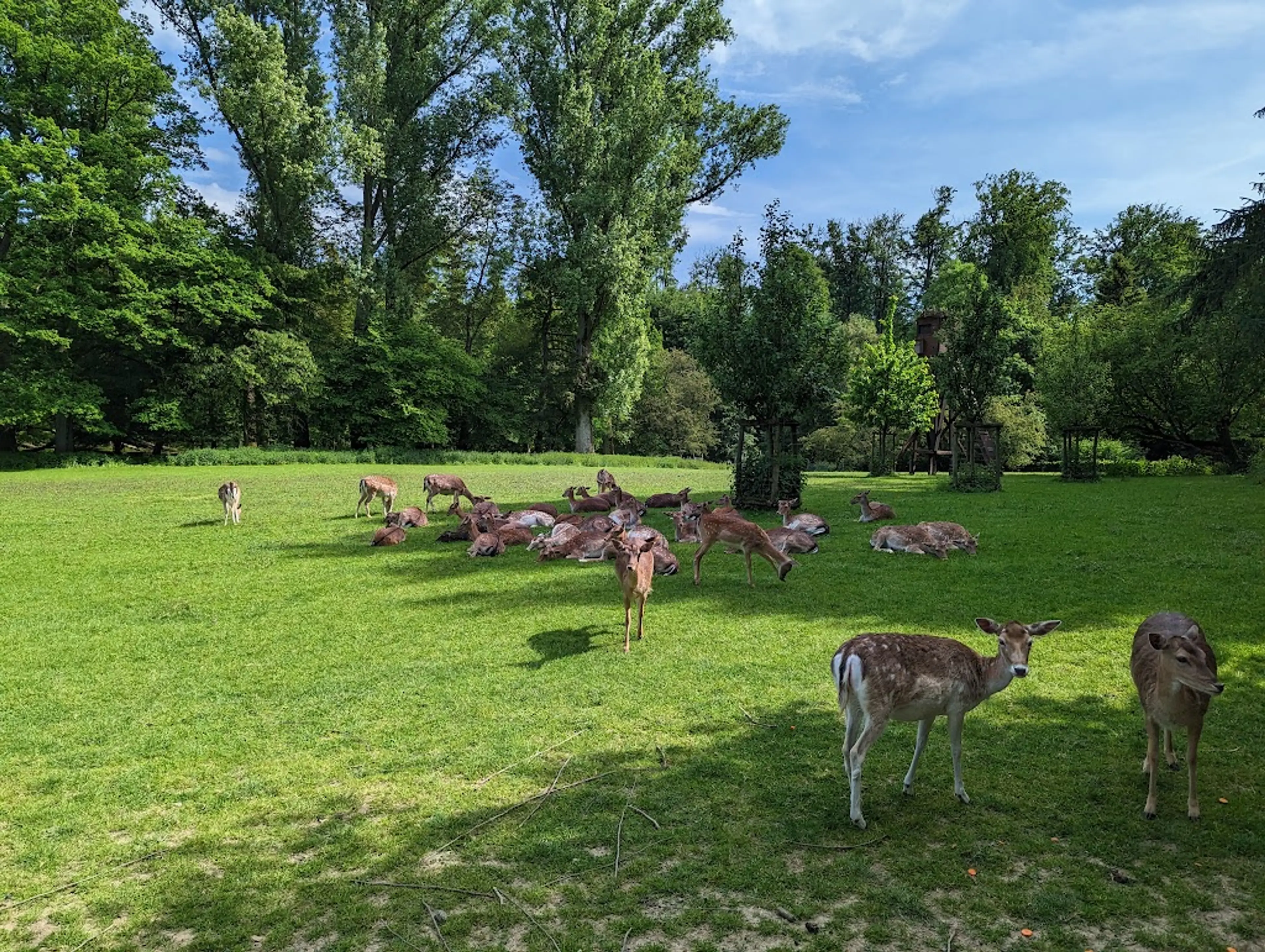 Wildpark Grafenberg