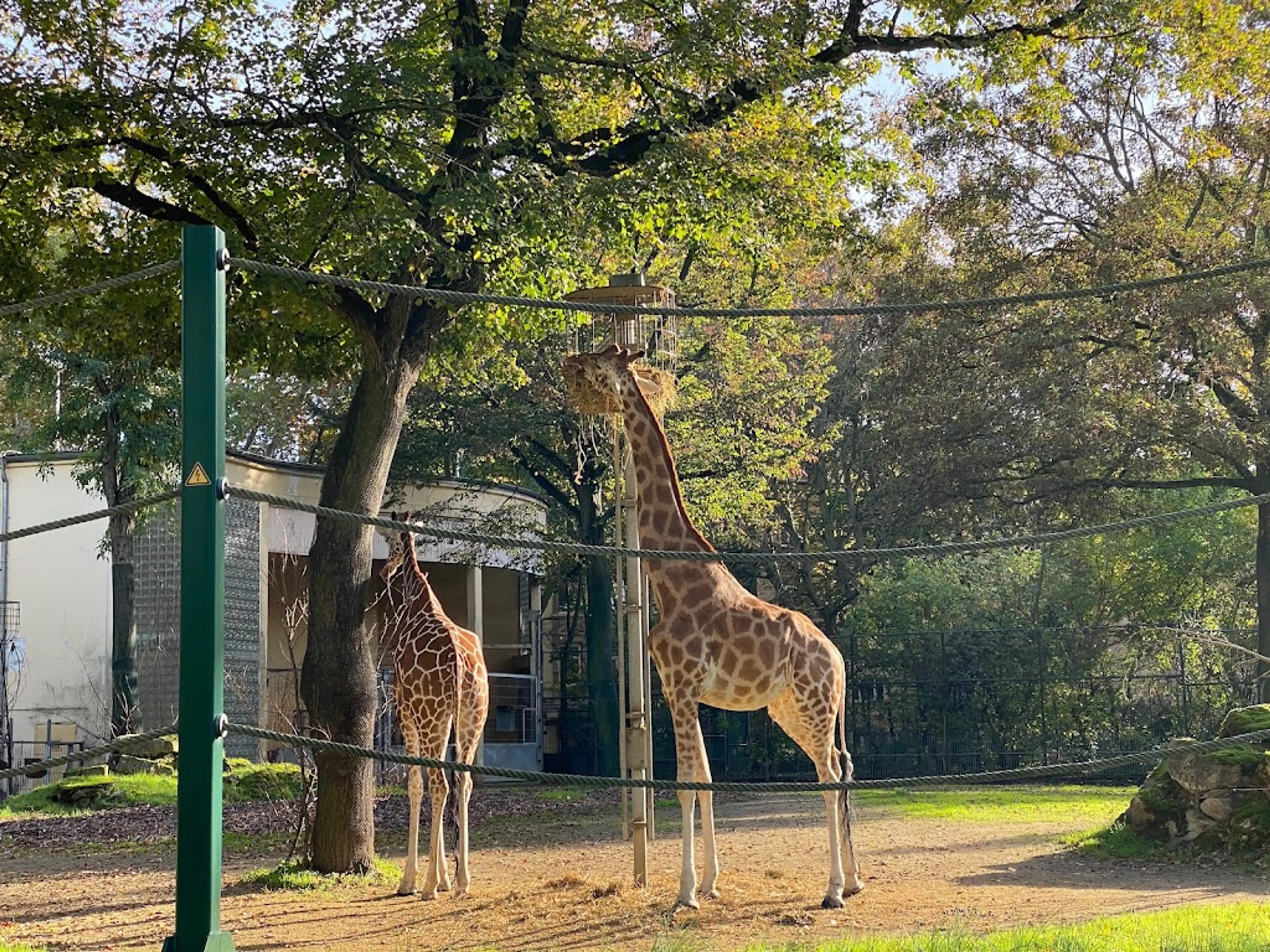 Frankfurt Zoo