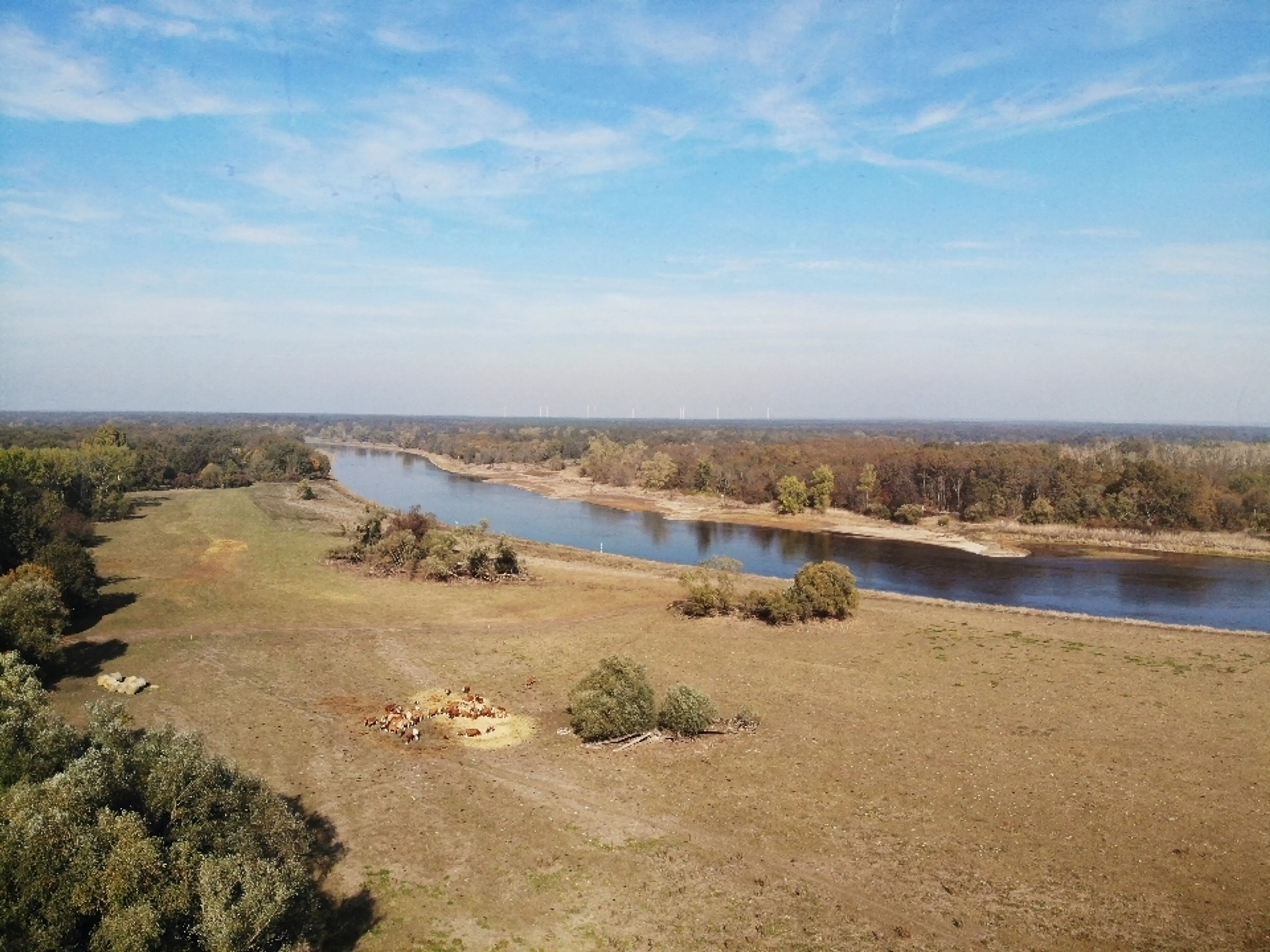 Elbe River