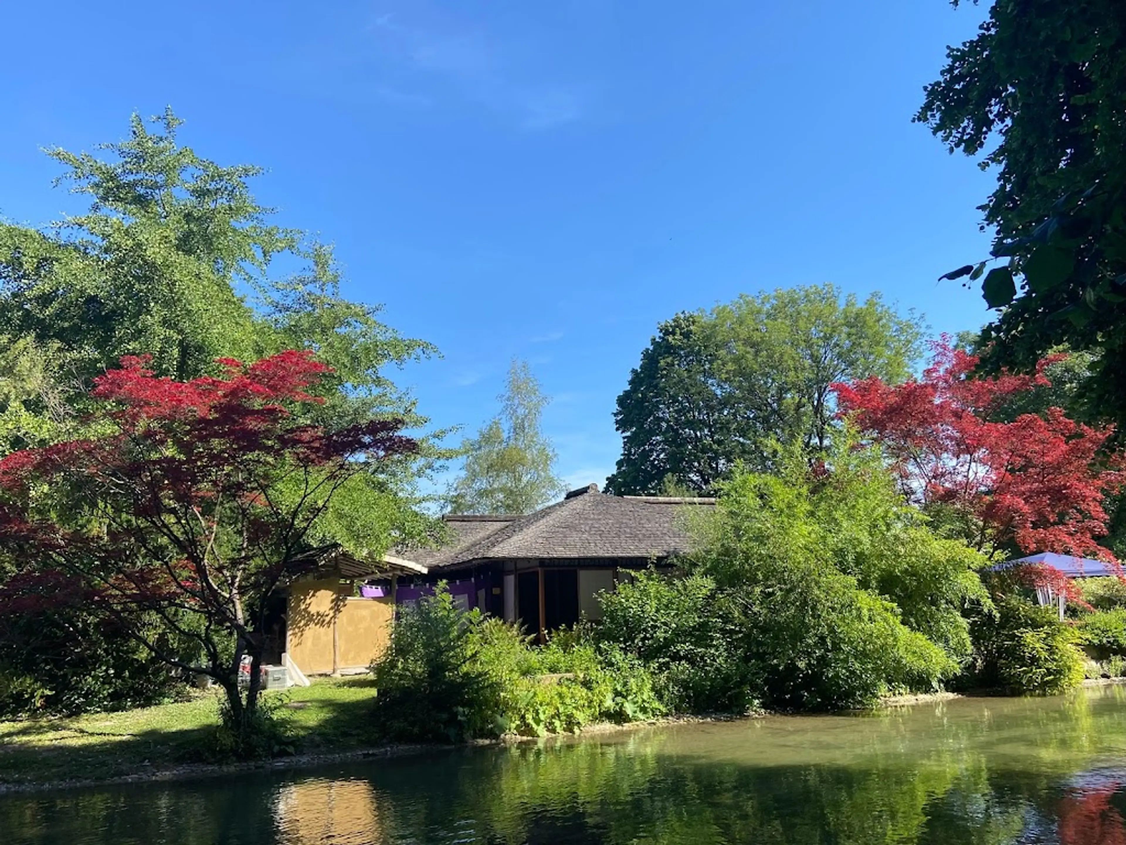 Japanese tea house