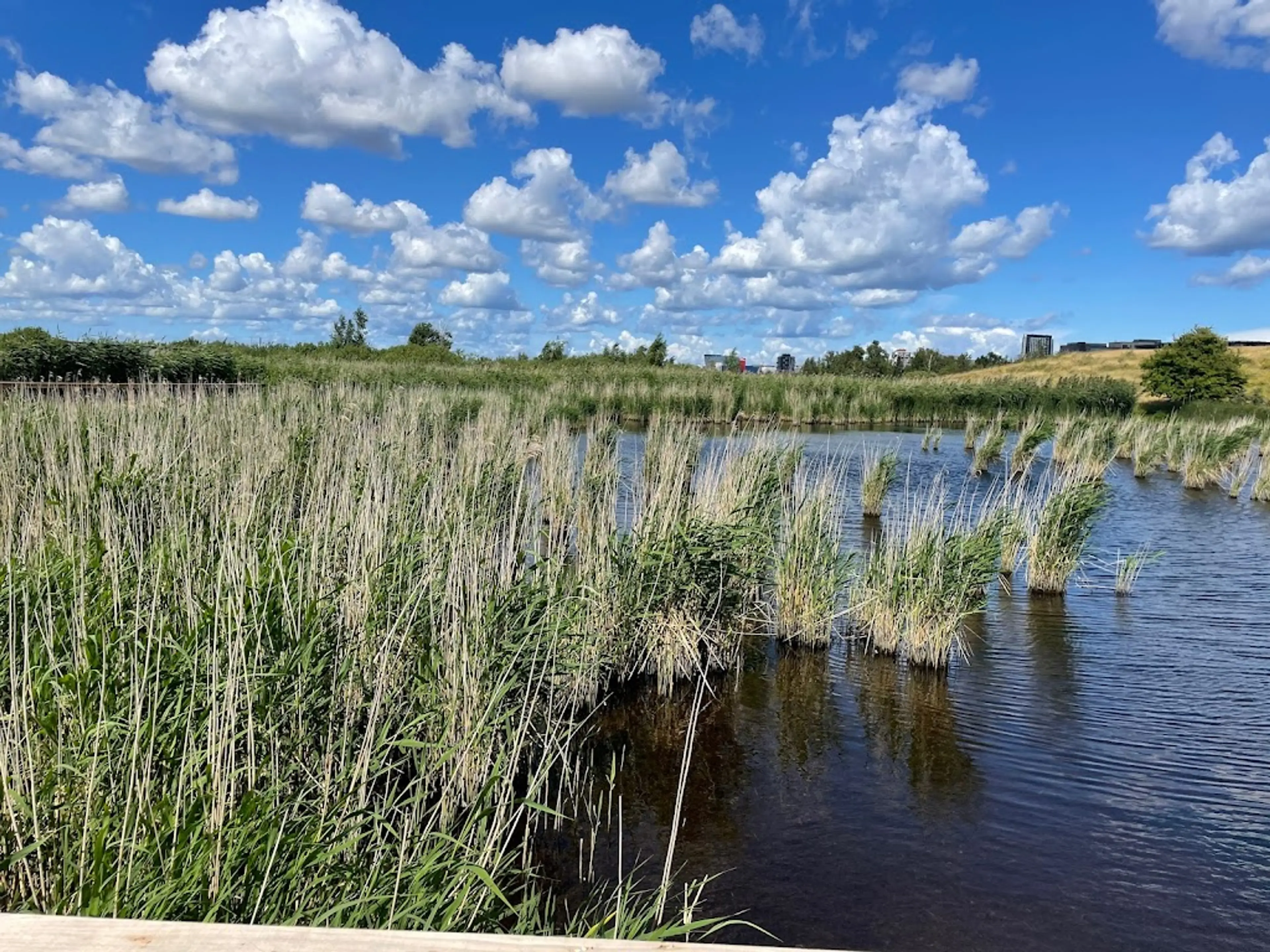 Amager Nature Park