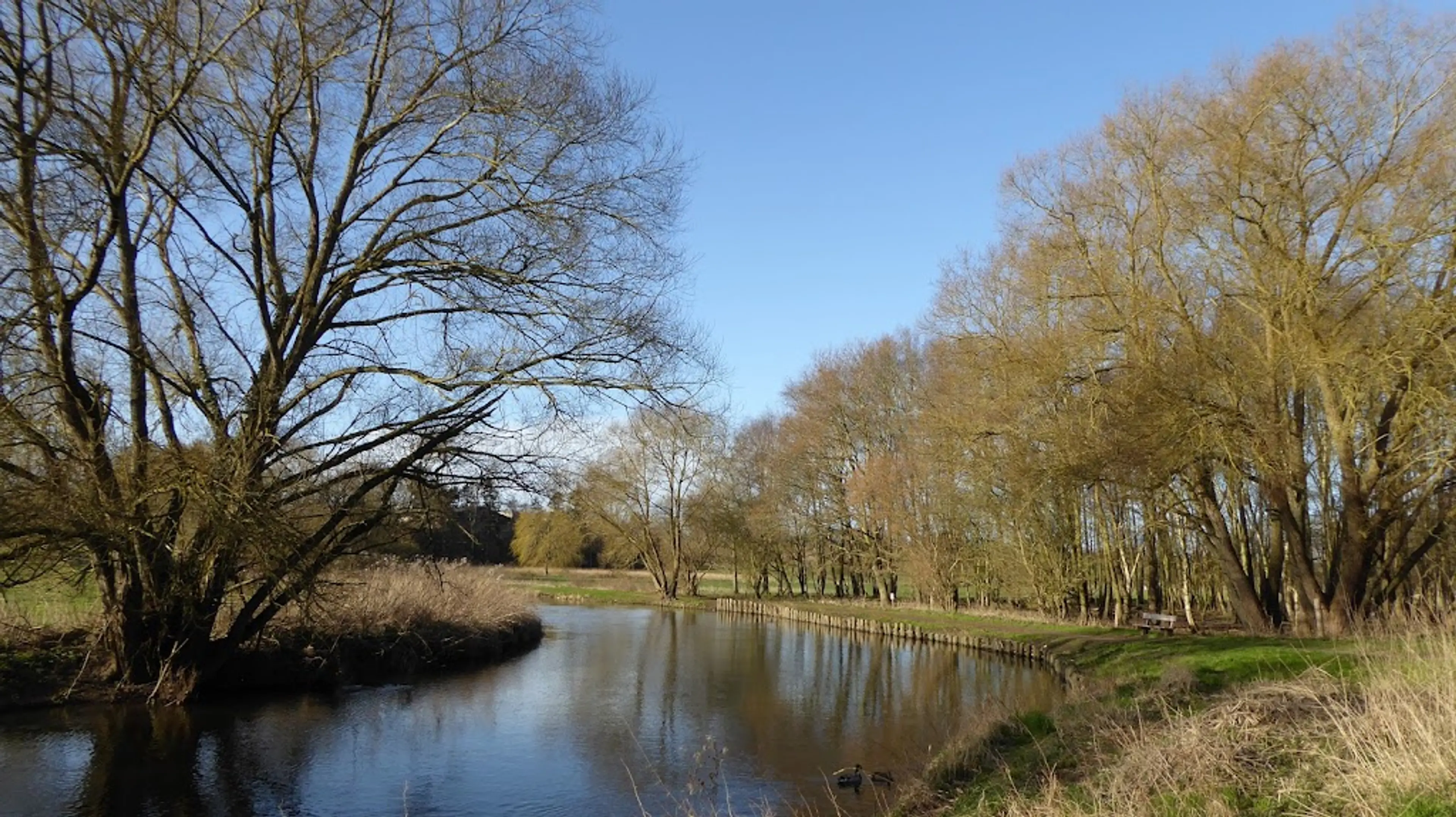 Odense River