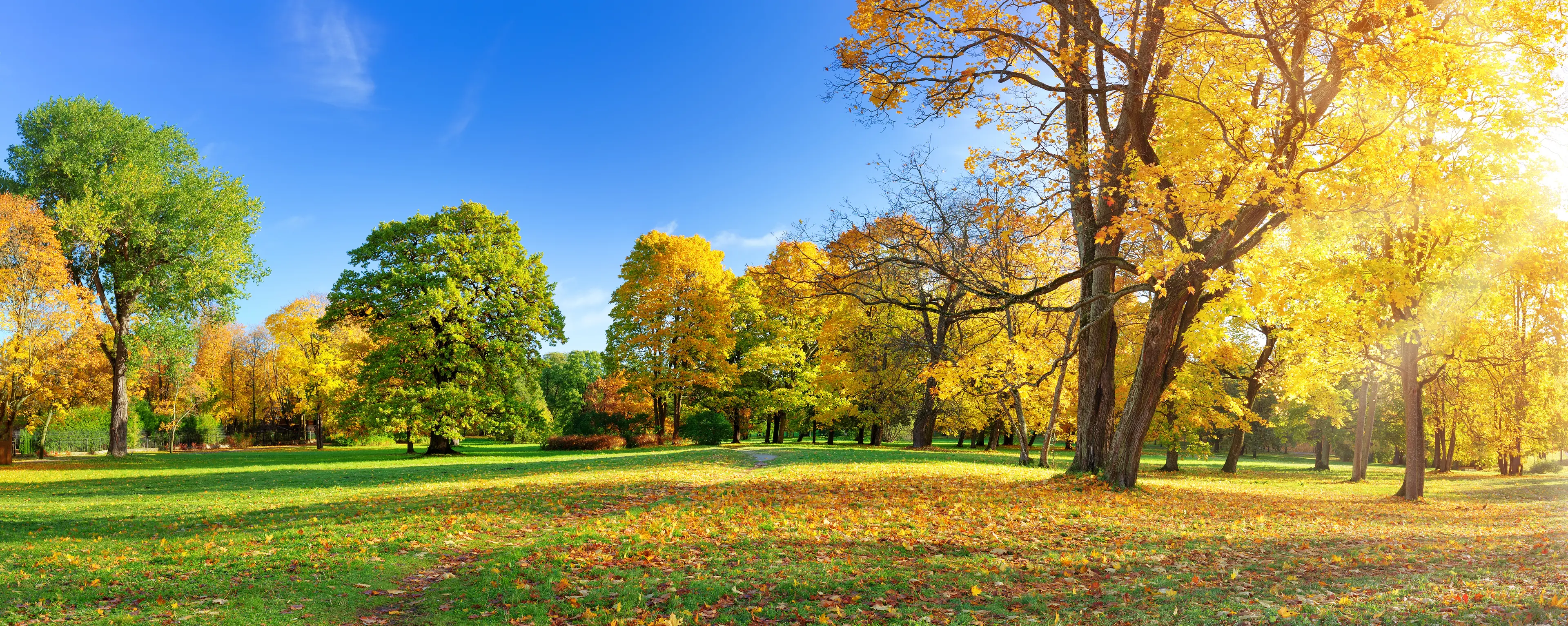 Kadriorg Park