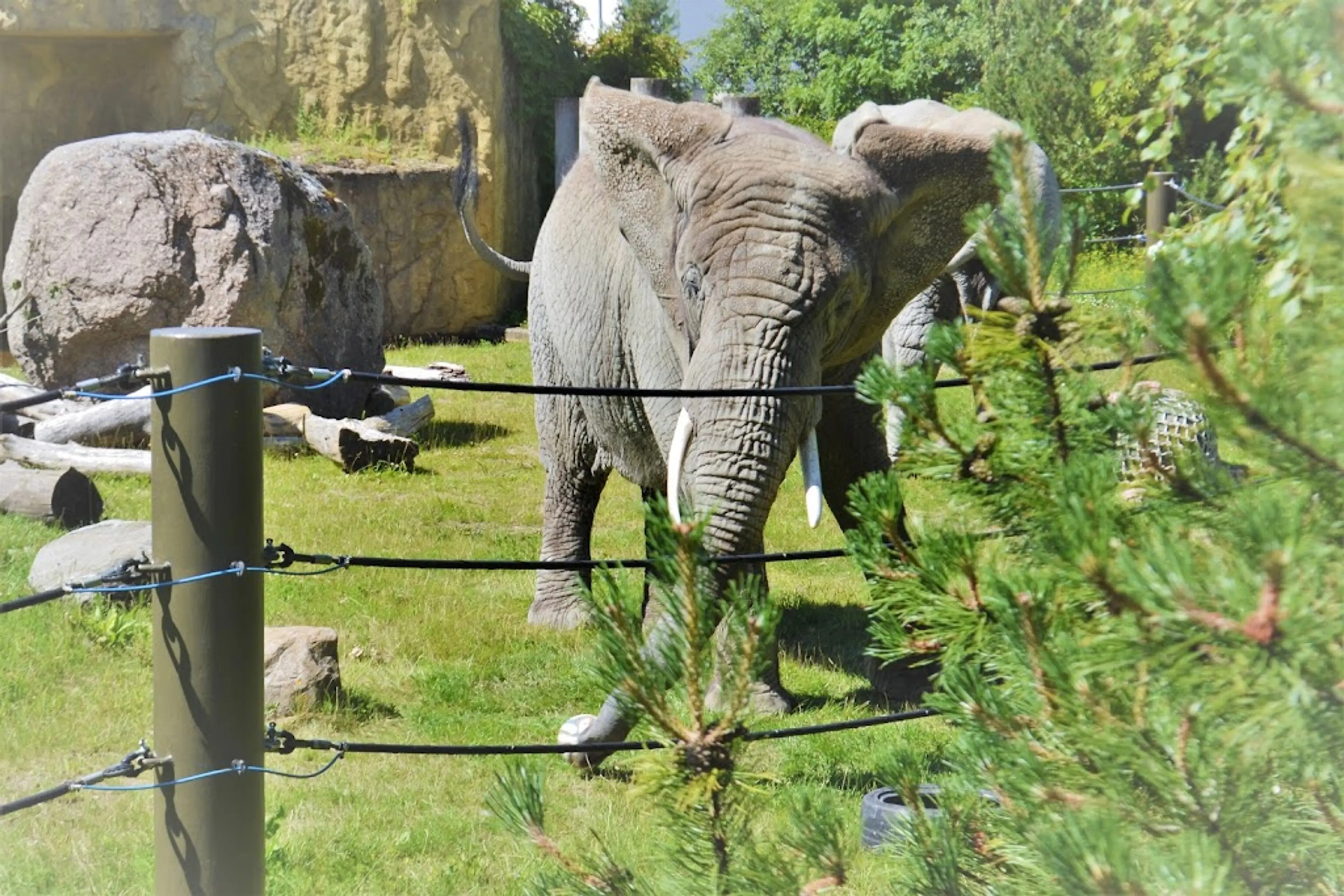 Tallinn Zoo