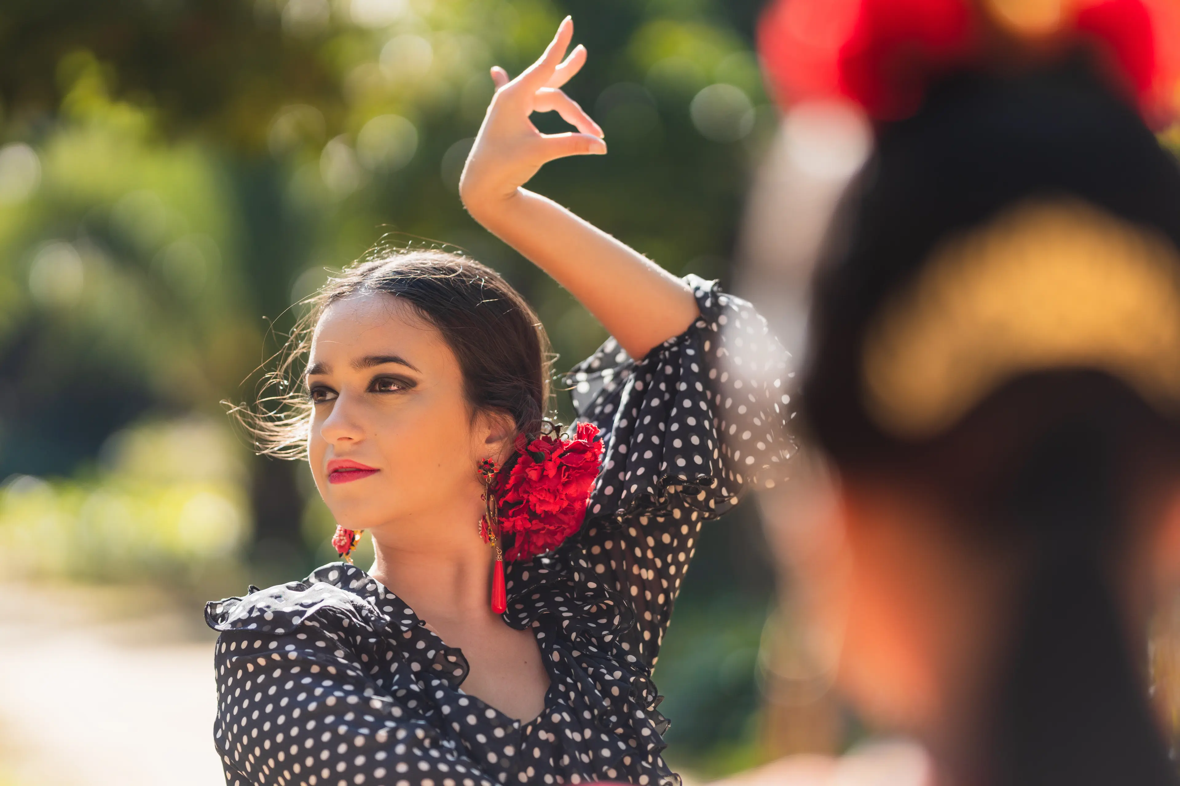 Flamenco Show