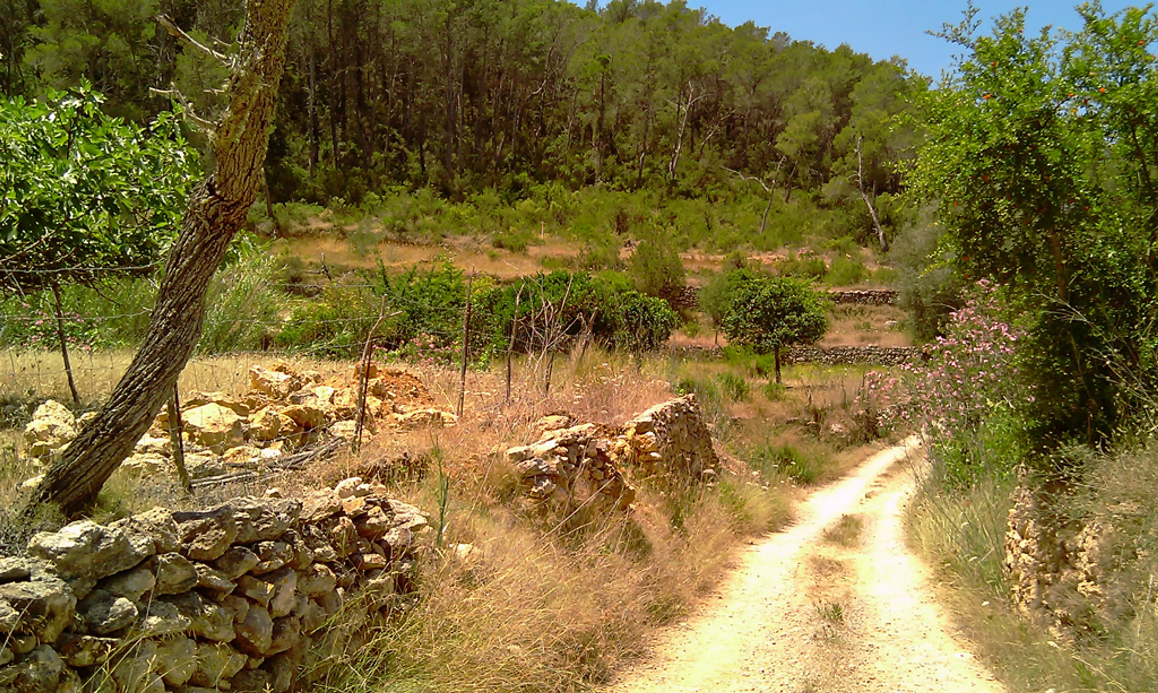 Ibiza Horse Valley