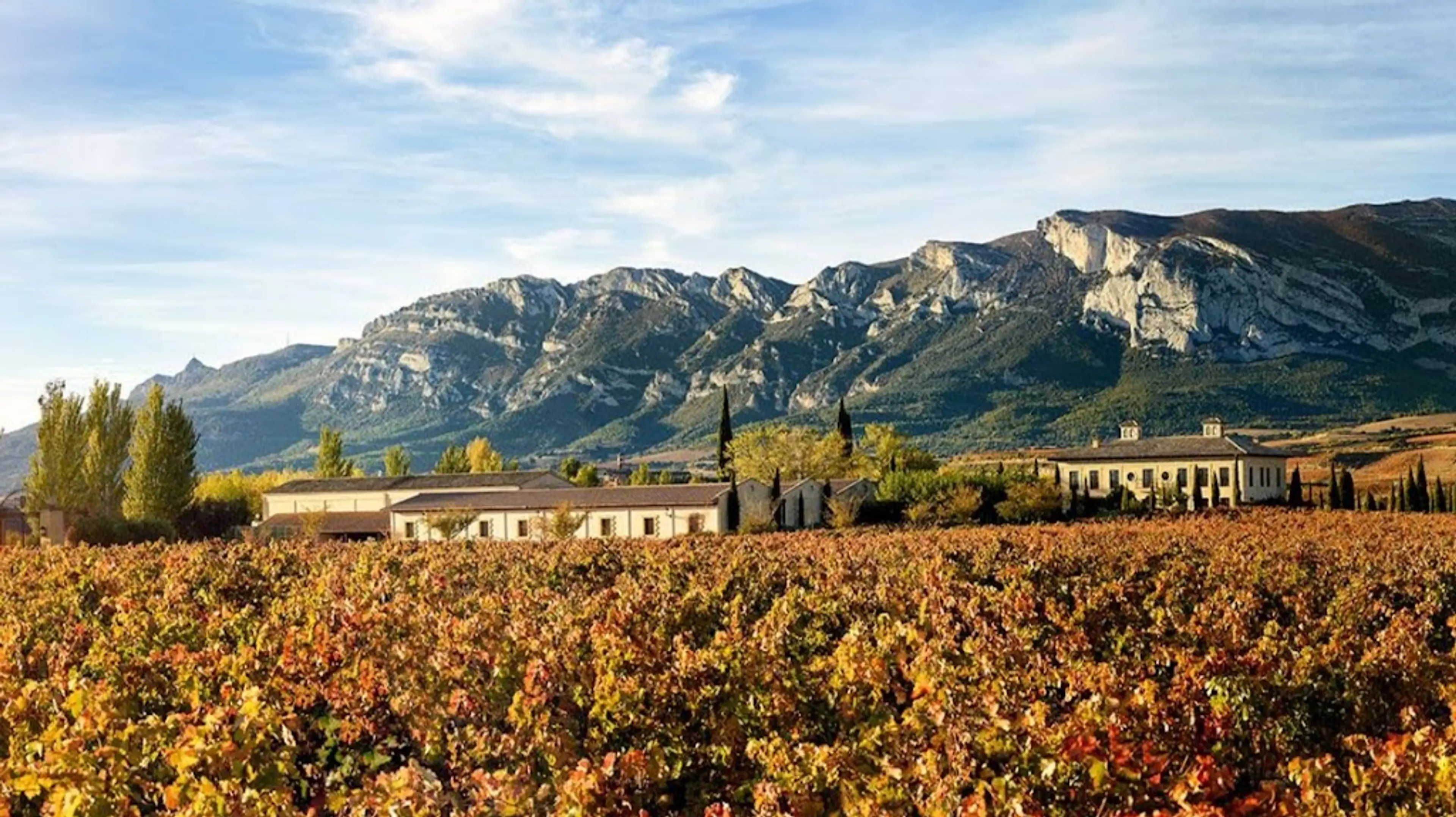 Rioja Vineyards