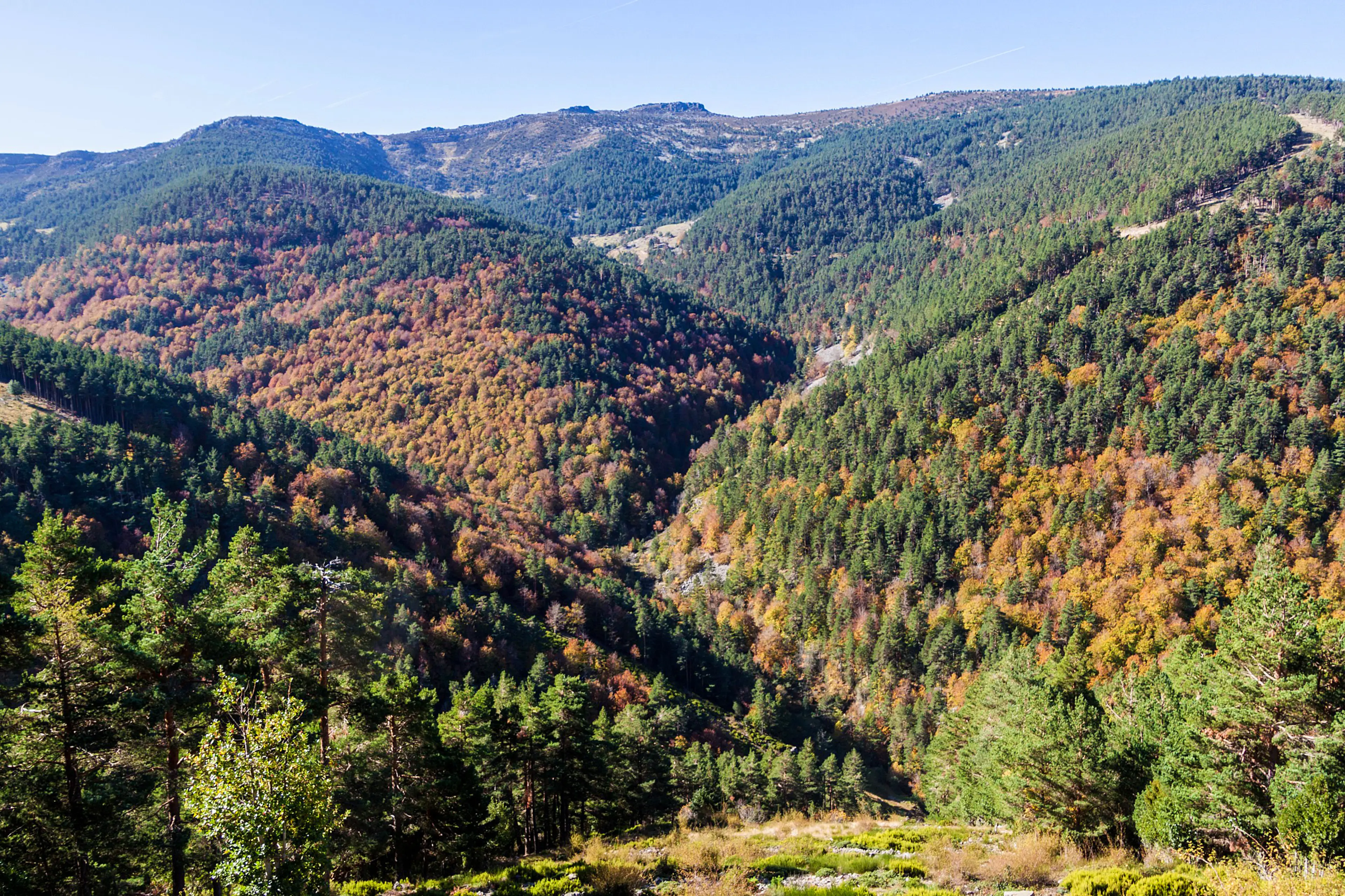 Sierra de Cebollera Natural Park