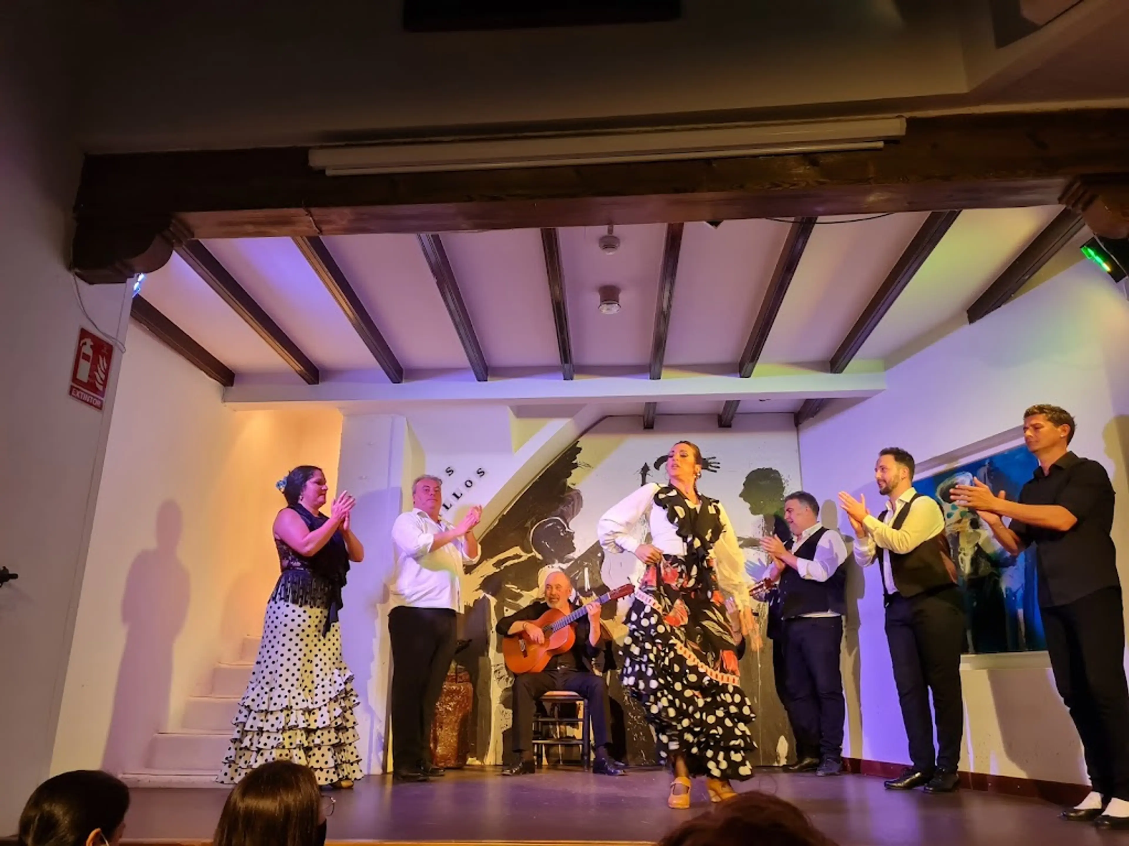 Flamenco Show