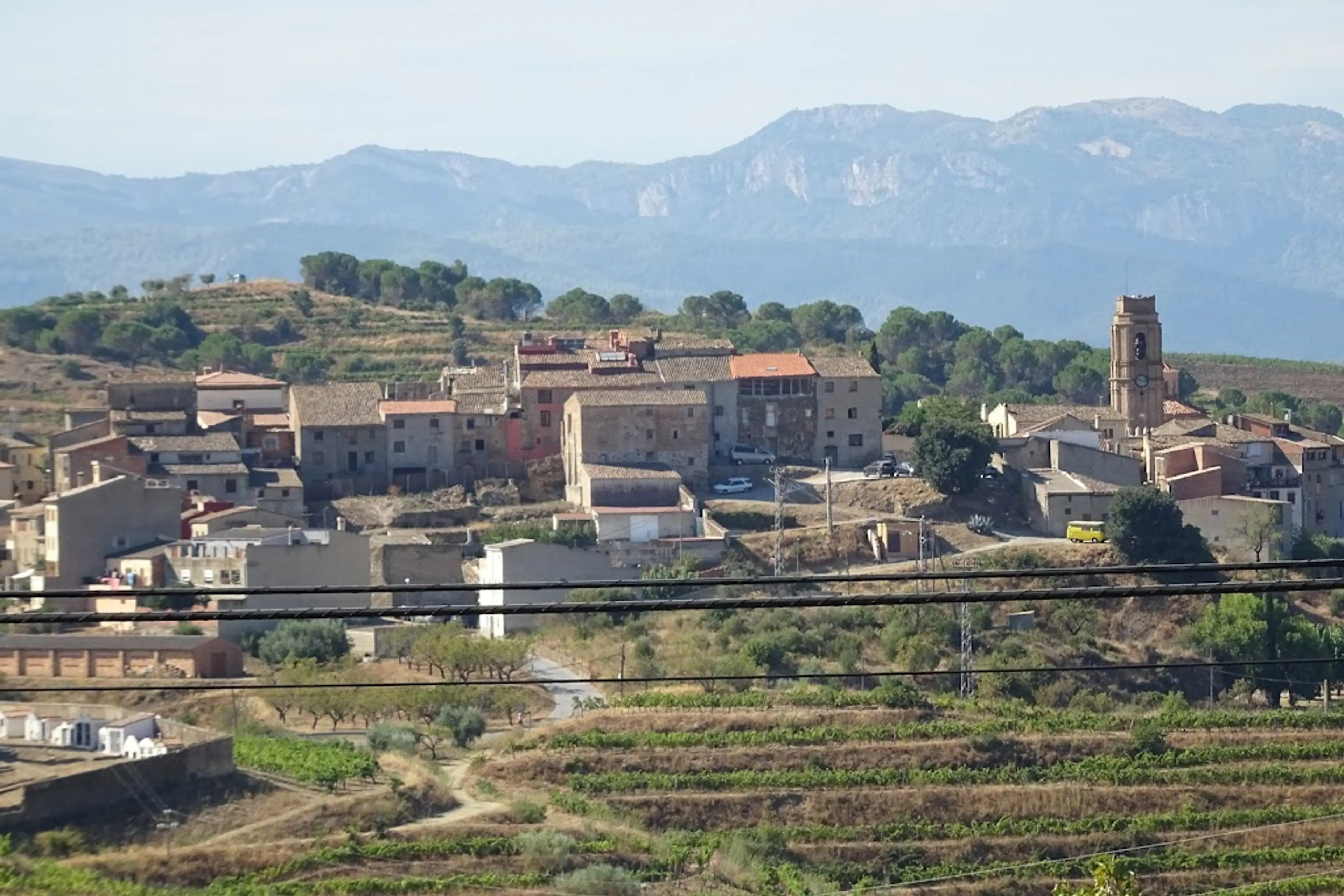 Priorat wine region