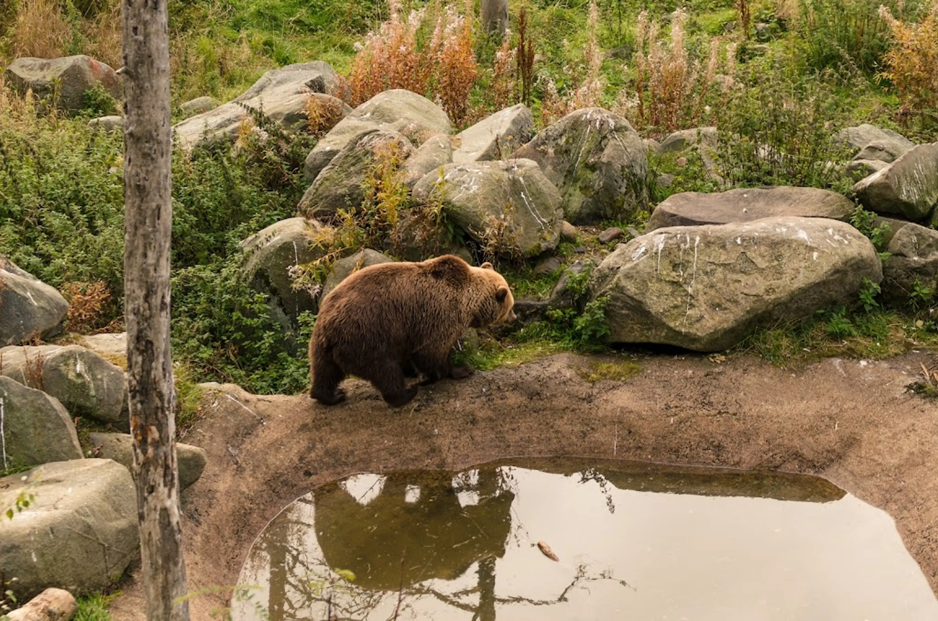 Ranua Wildlife Park