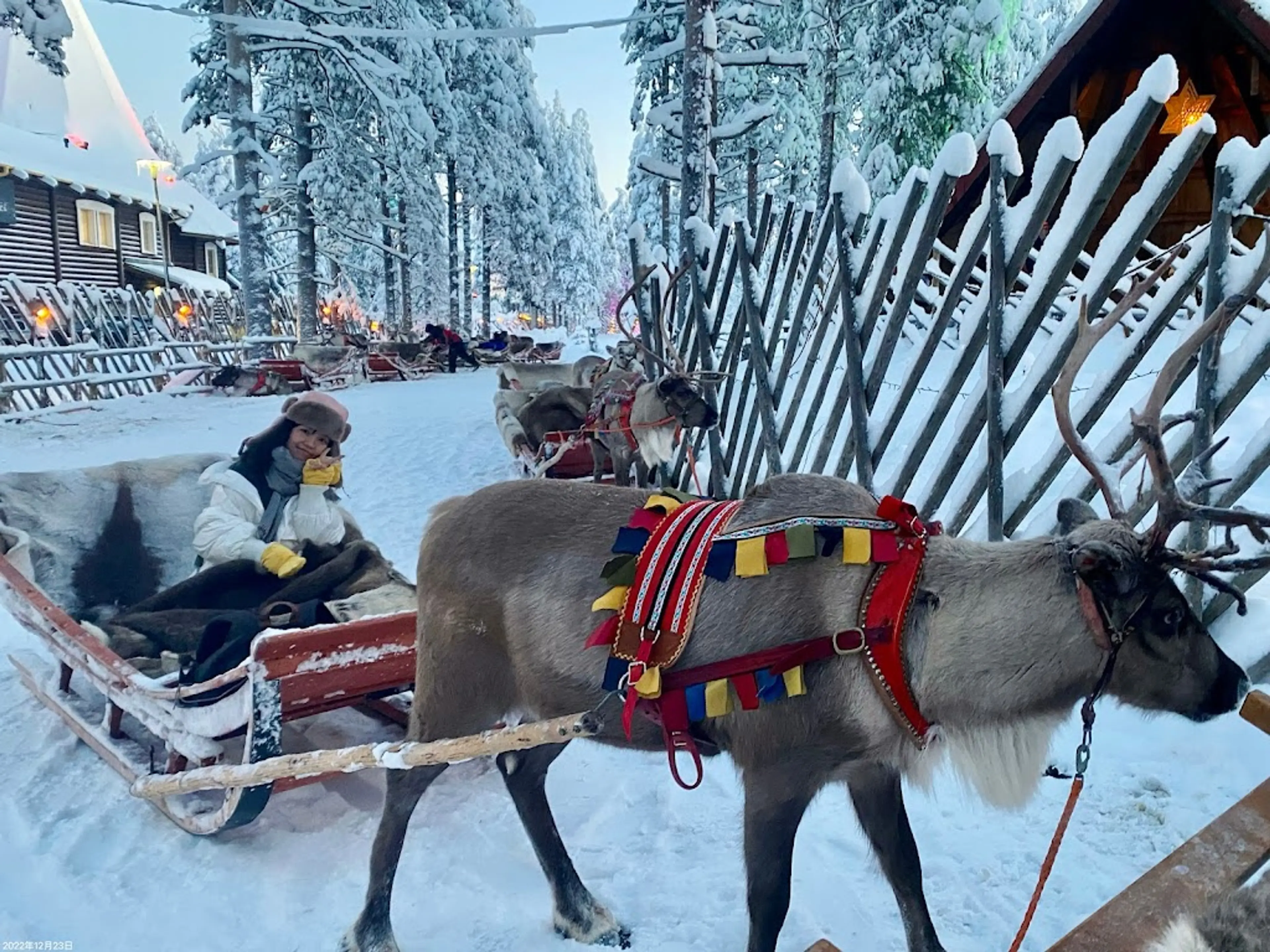 Reindeer sleigh ride