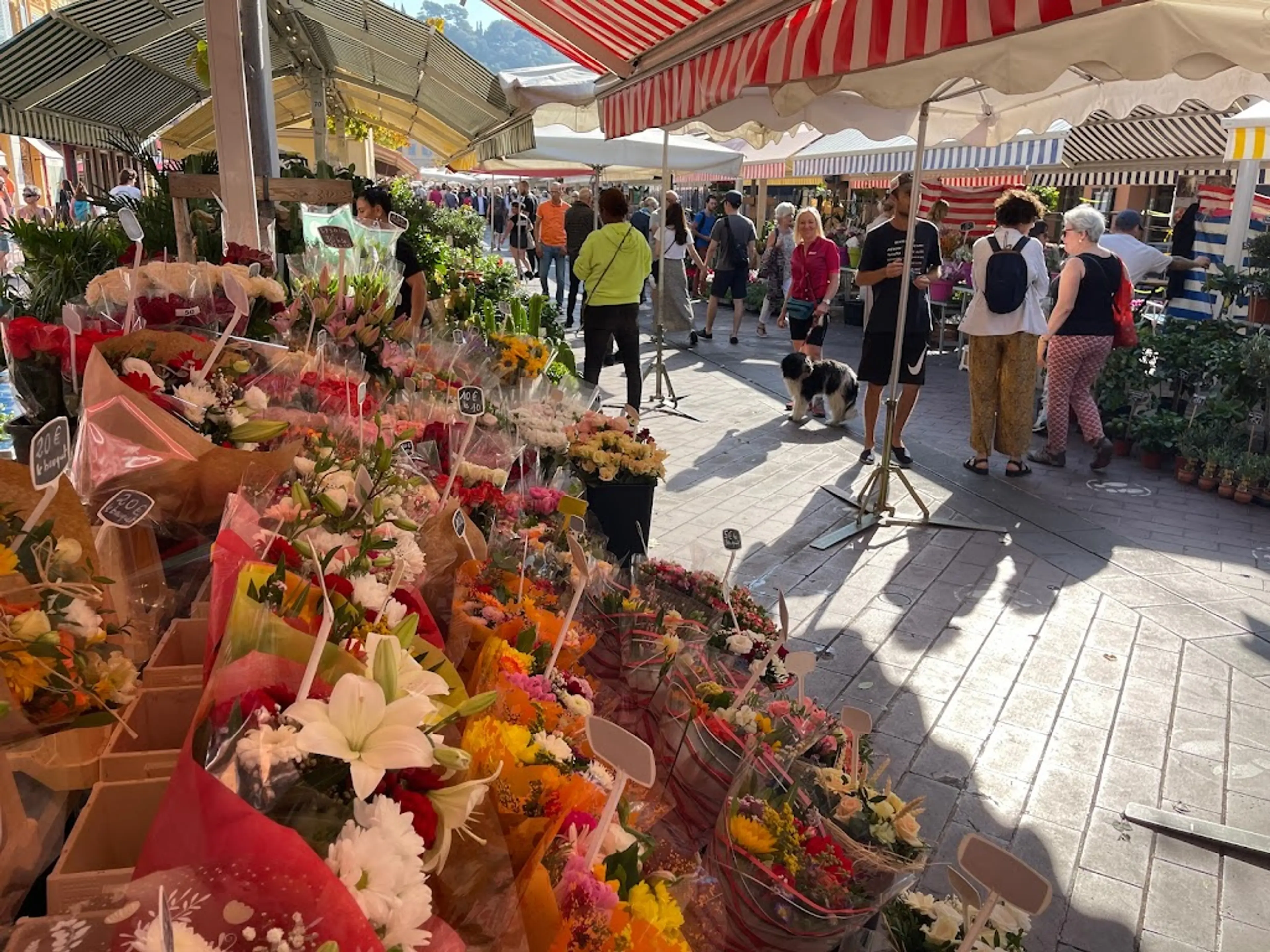 Flower Market at Cours Saleya