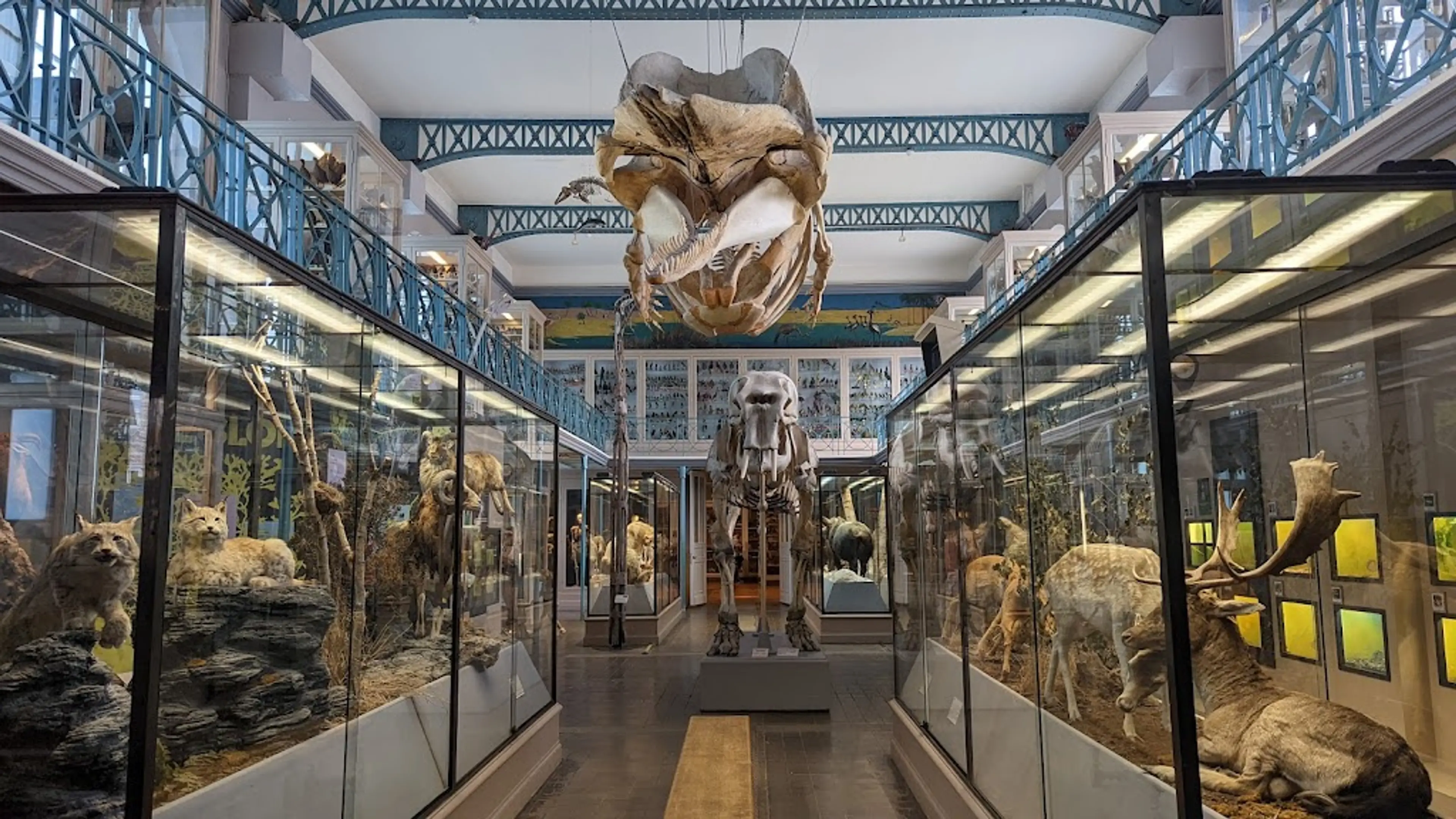 Natural History Museum of Lille