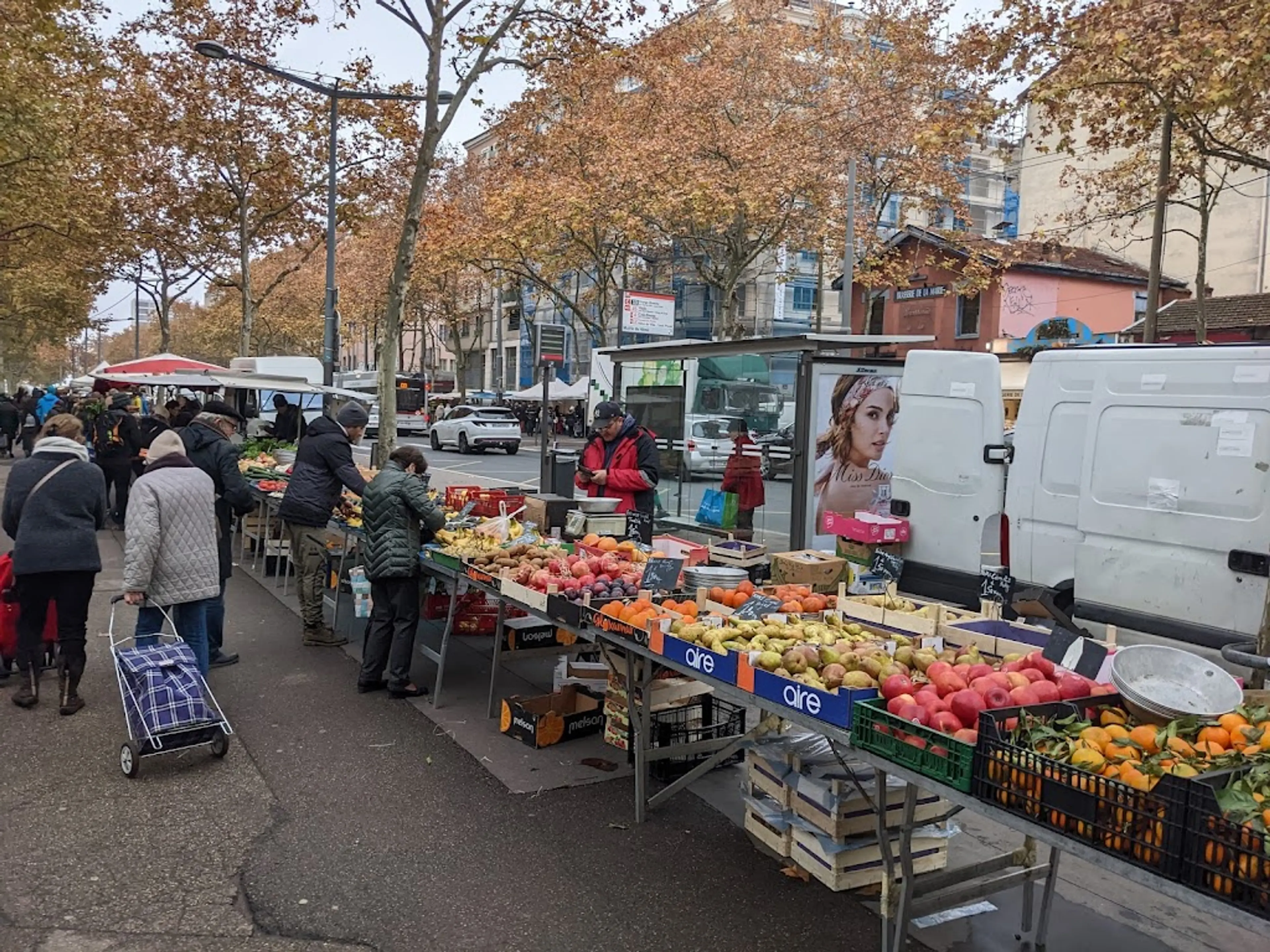 Local Market