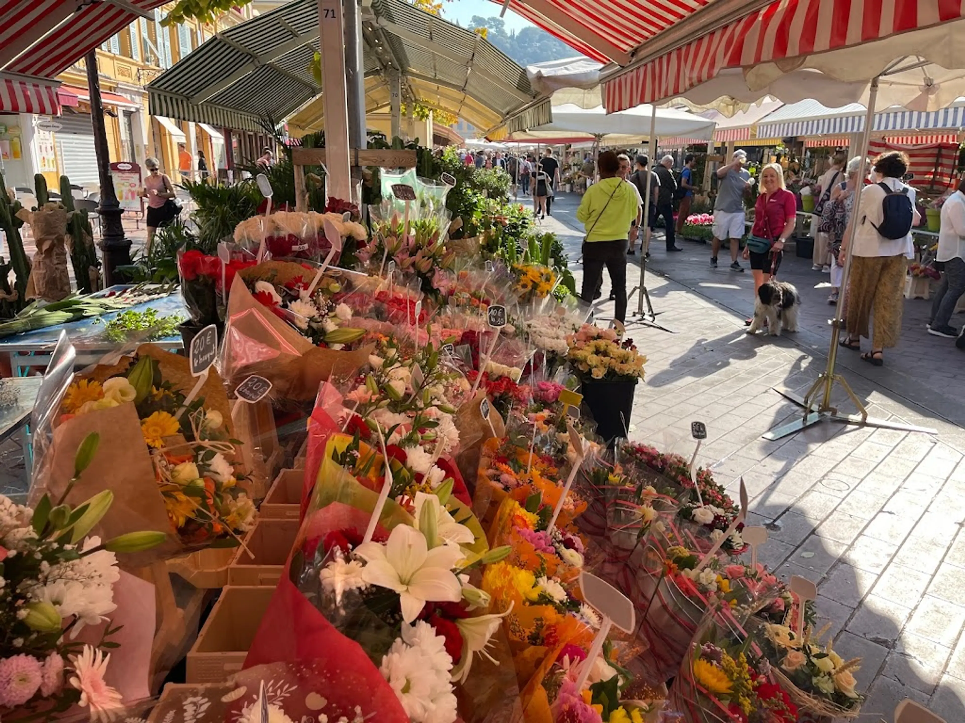 Cours Saleya Market