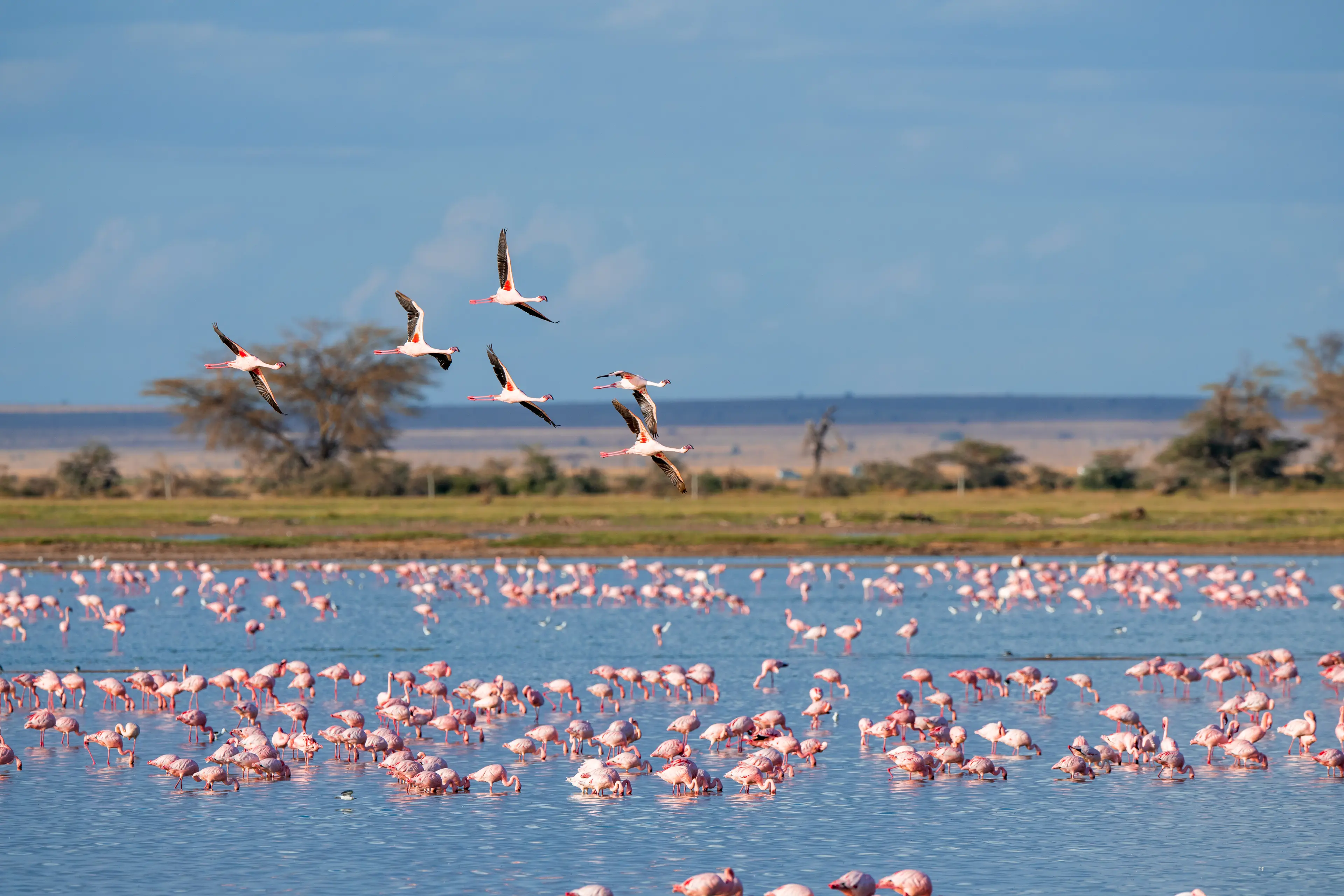 Camargue Natural Park