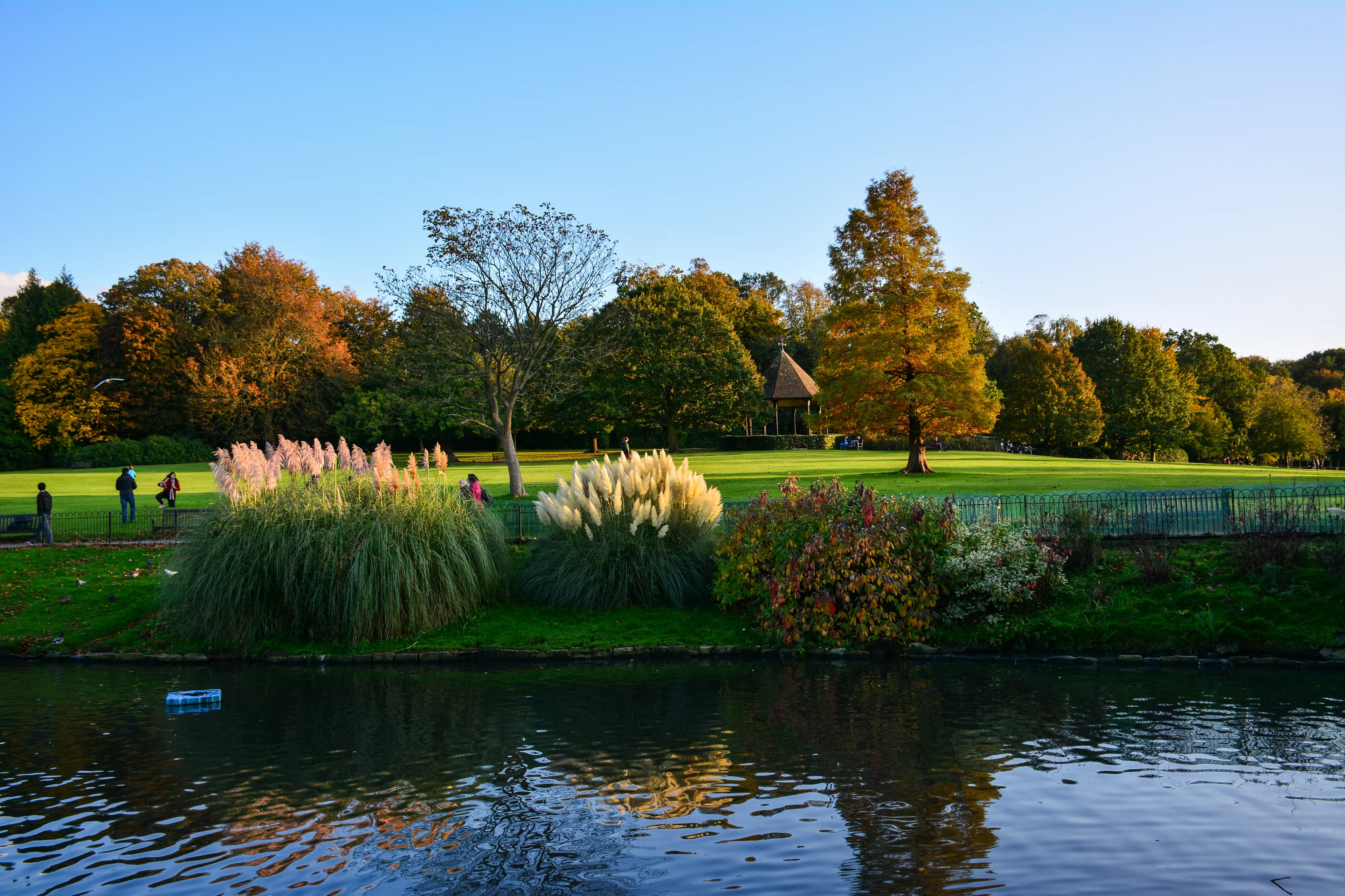 Hampstead Heath