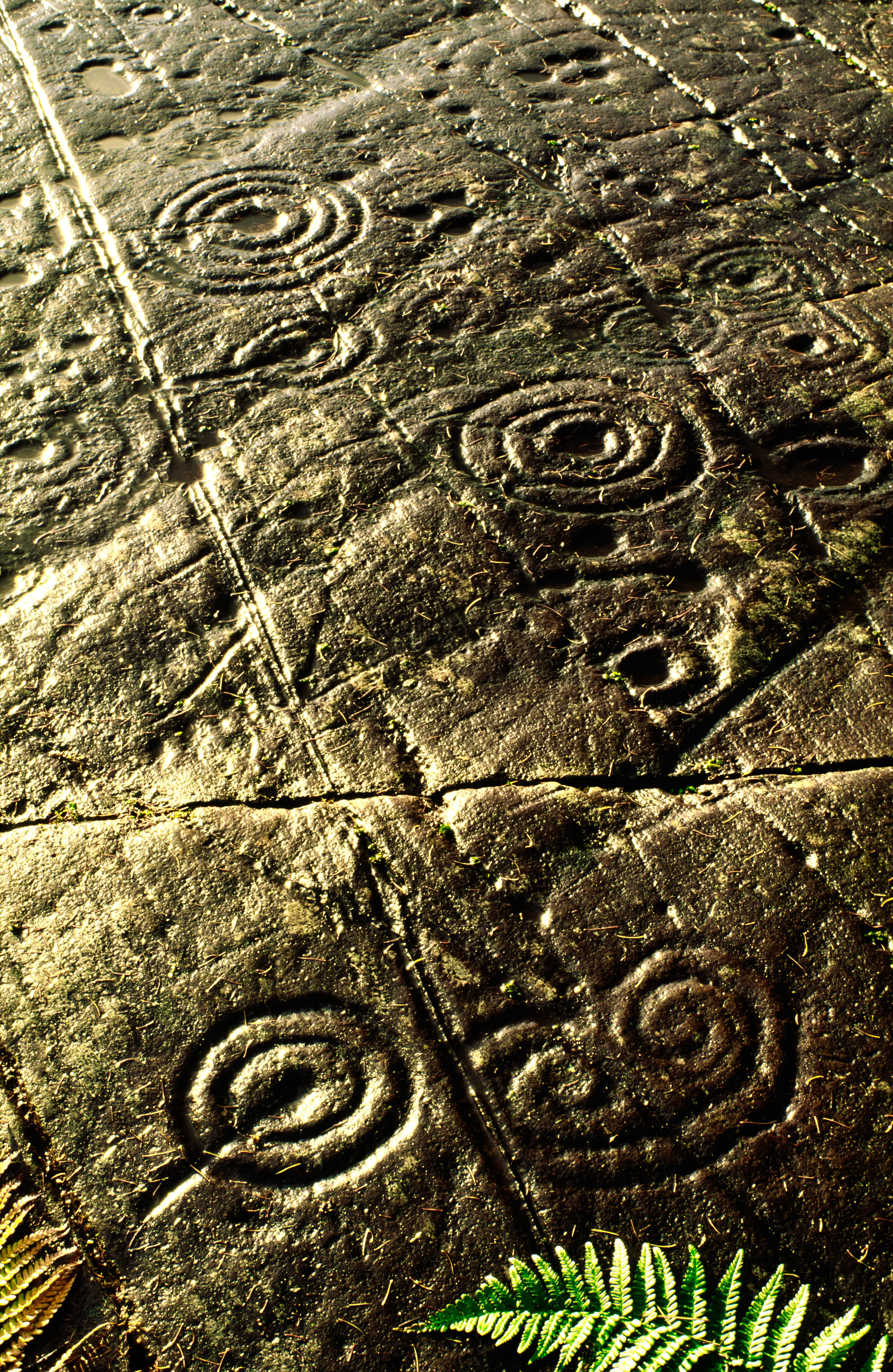 Achnabreck rock carvings