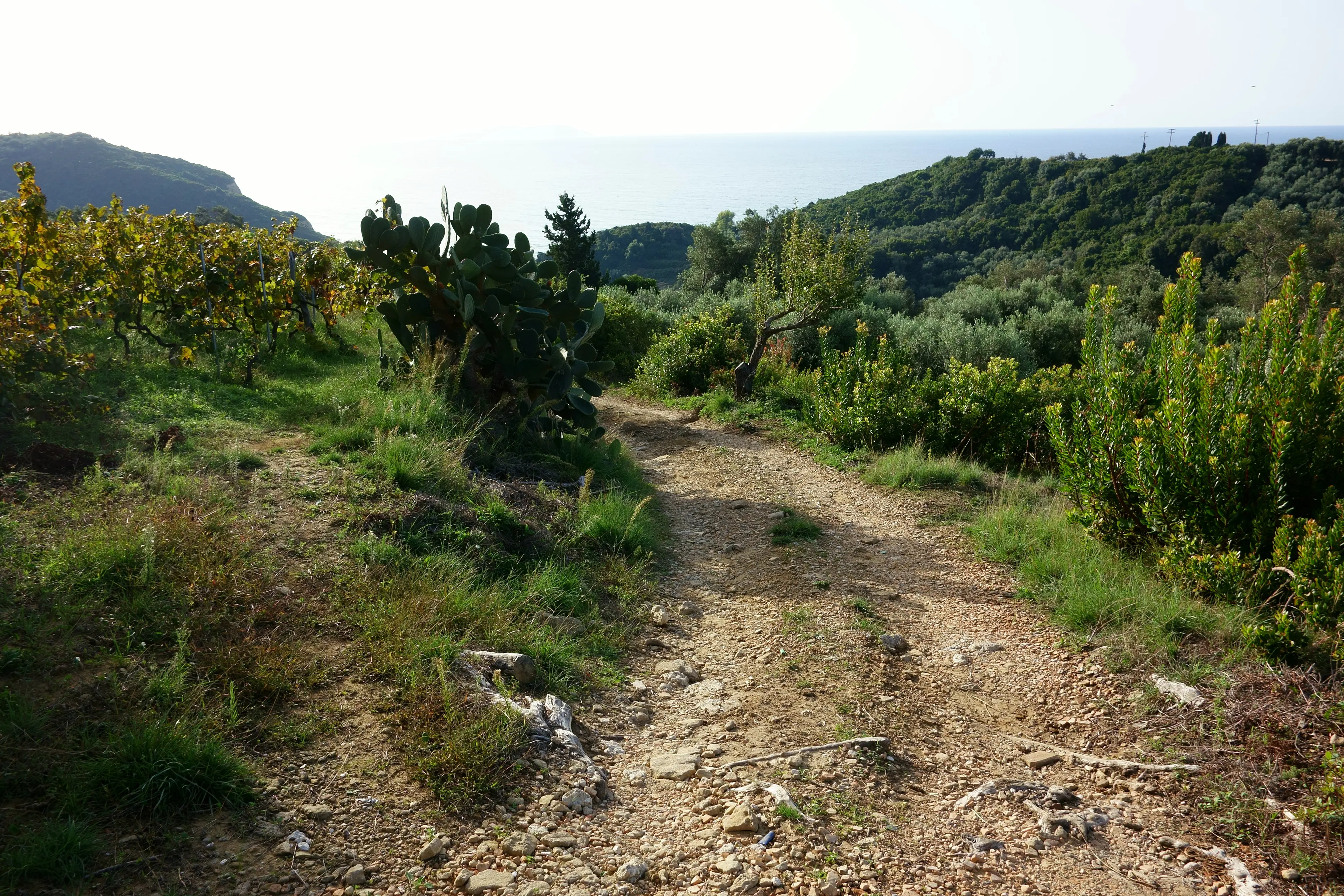 Corfu Trail